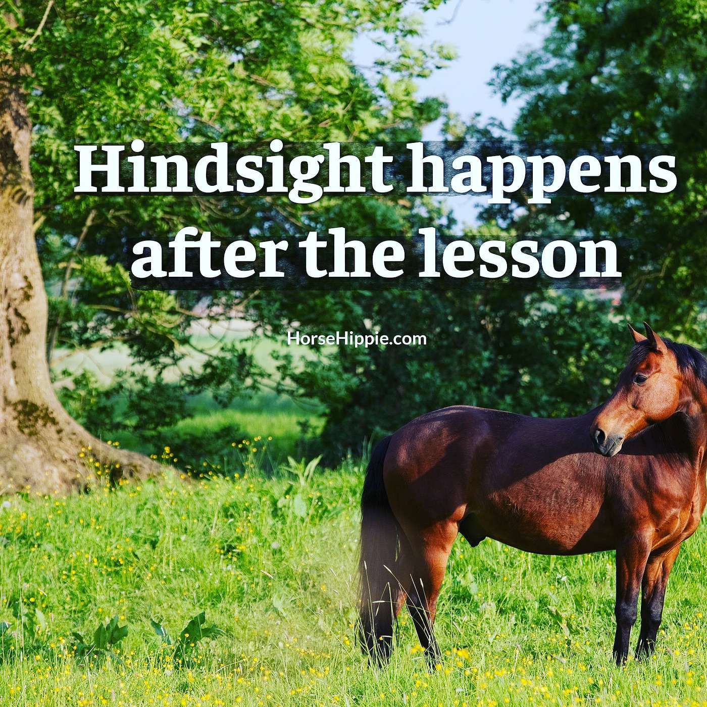 Forgive Yourself for Not Knowing