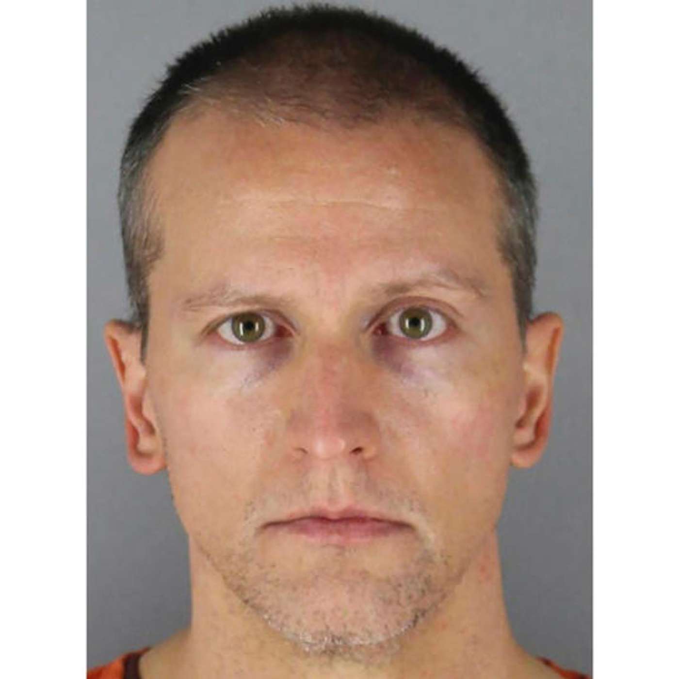 MAGA is pushing a pardon for George Floyd murderer Derek Chauvin episode artwork
