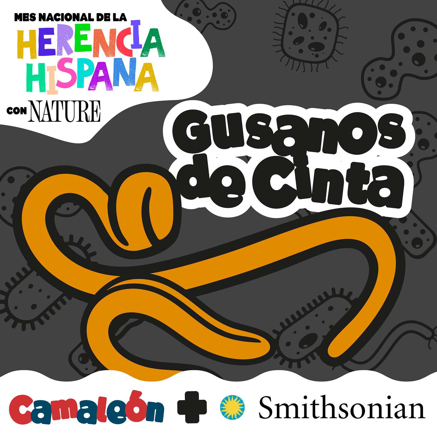 Gusanos de Cinta: ¡El animal más largo del planeta! episode artwork