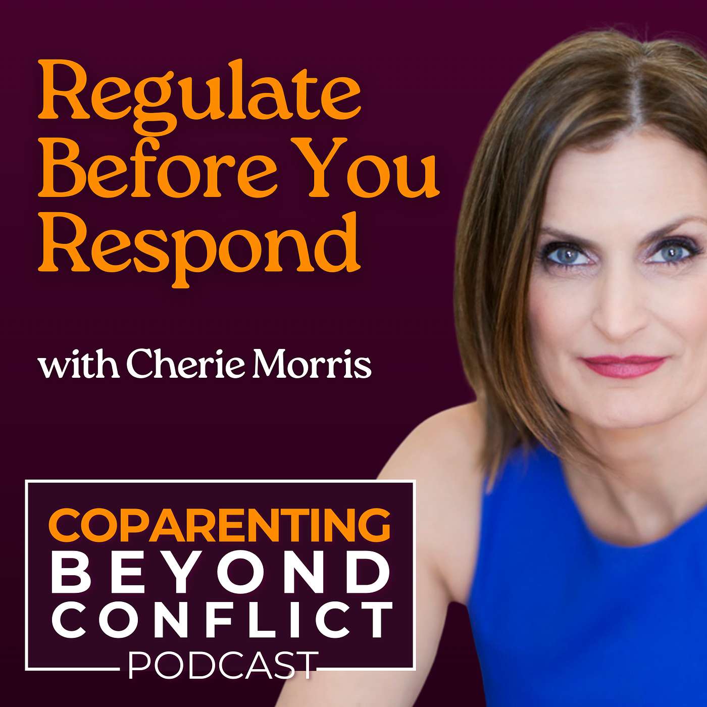 Coparenting Beyond Conflict: High-Conflict Divorce and Custody Strategies