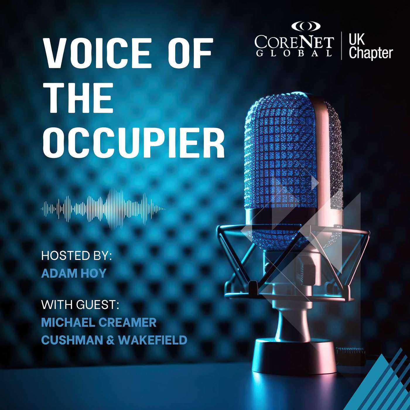 The Voice of the Occupier