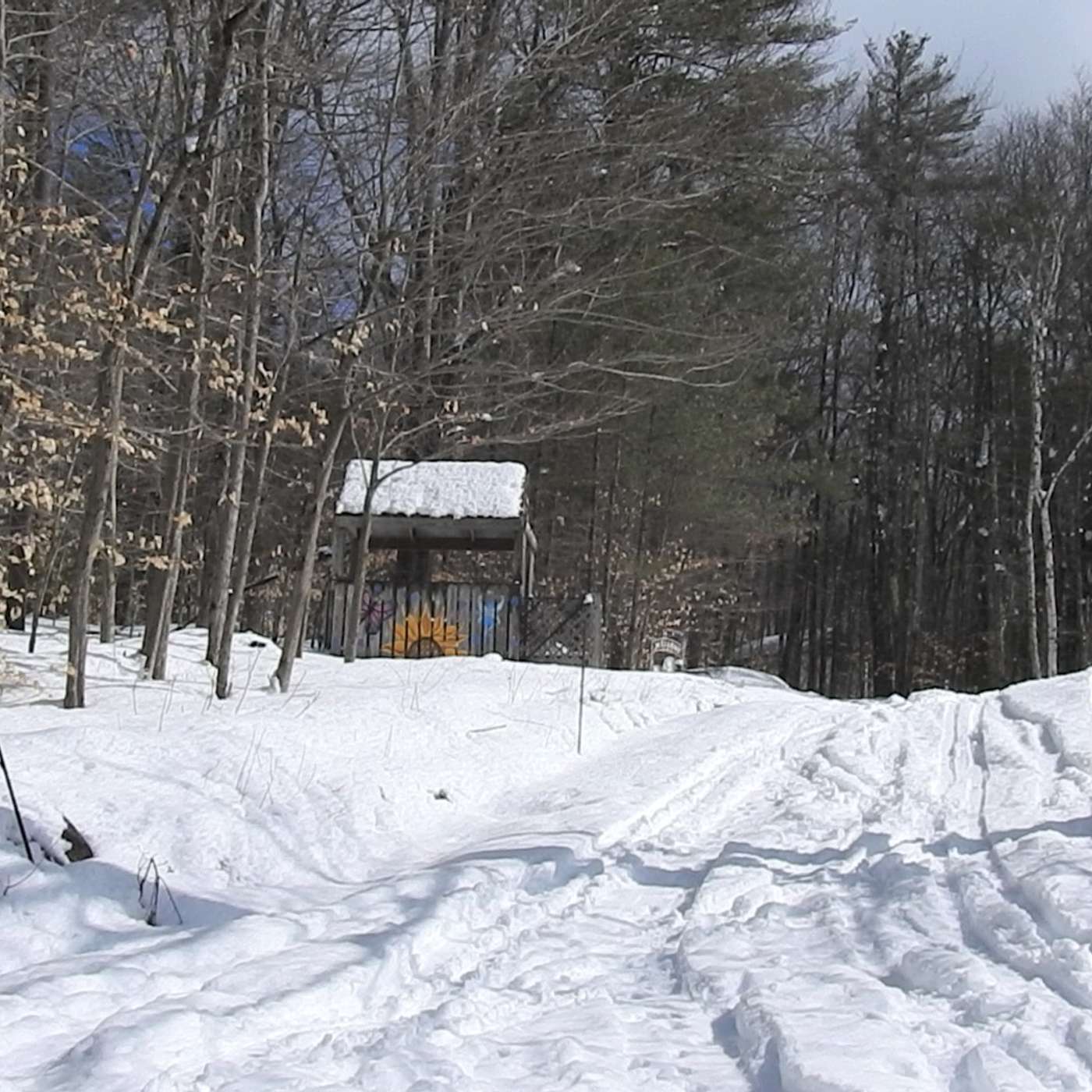 A WINTER OVERVIEW
