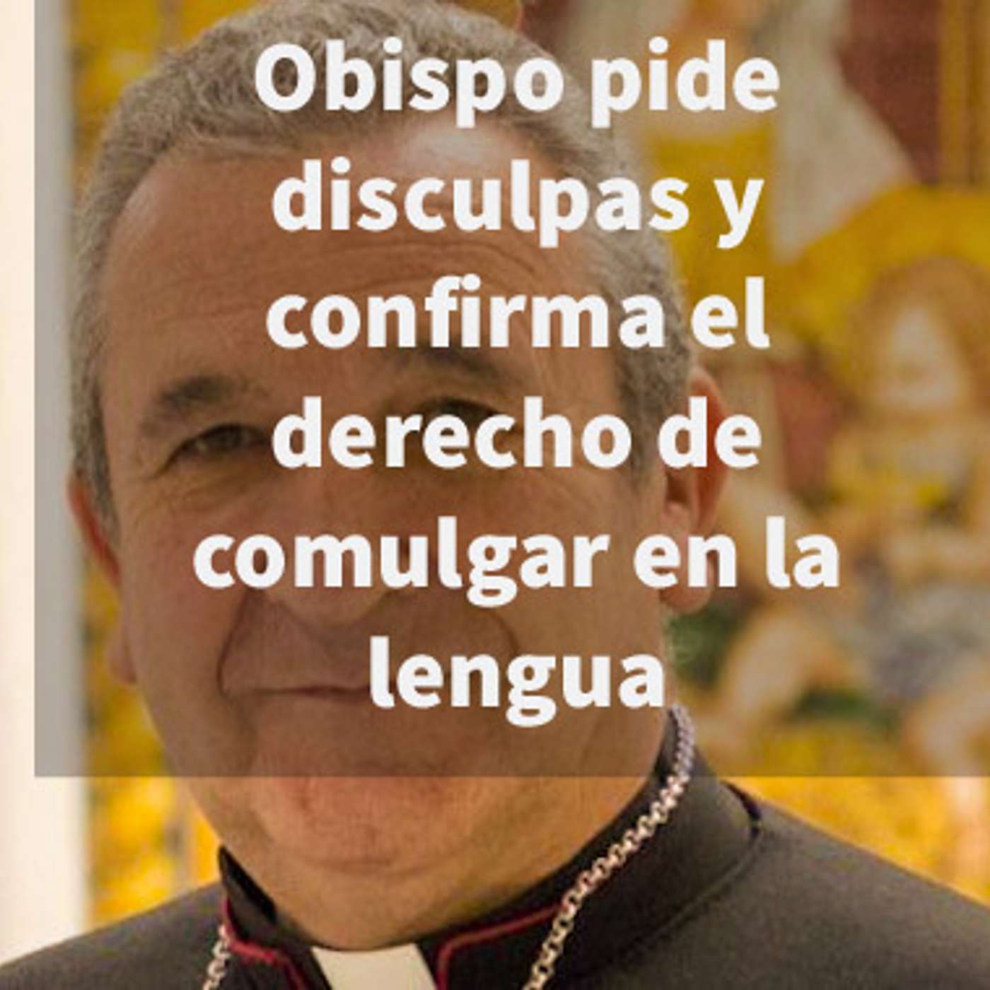 Episodio 337: 👏 Obispo pide disculpas y confirma el derecho de comulgar en la Lengua 🙏 episode artwork