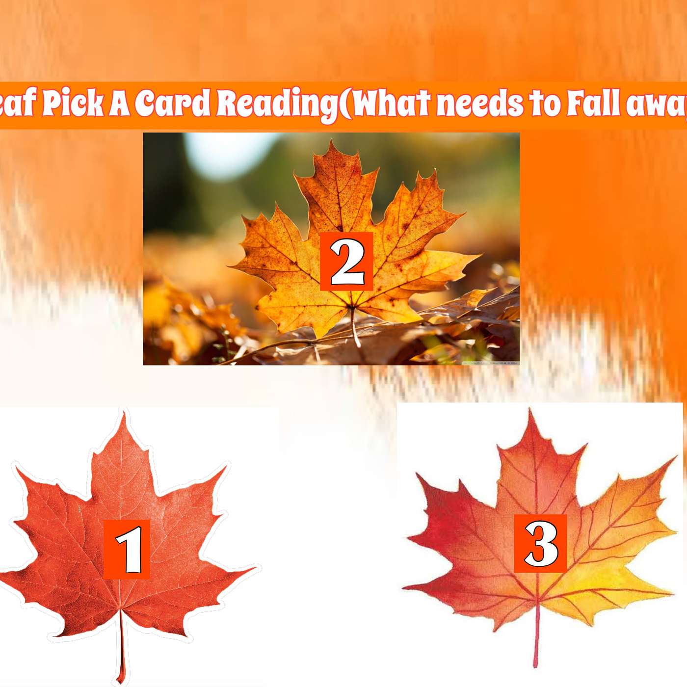 D's Pick A Card Reading Fall Leaf #2 episode artwork