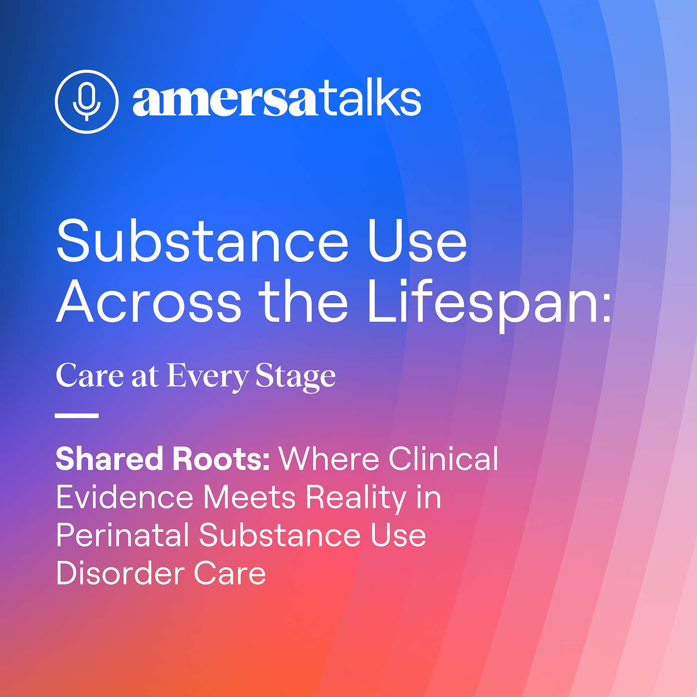 AMERSA Talks