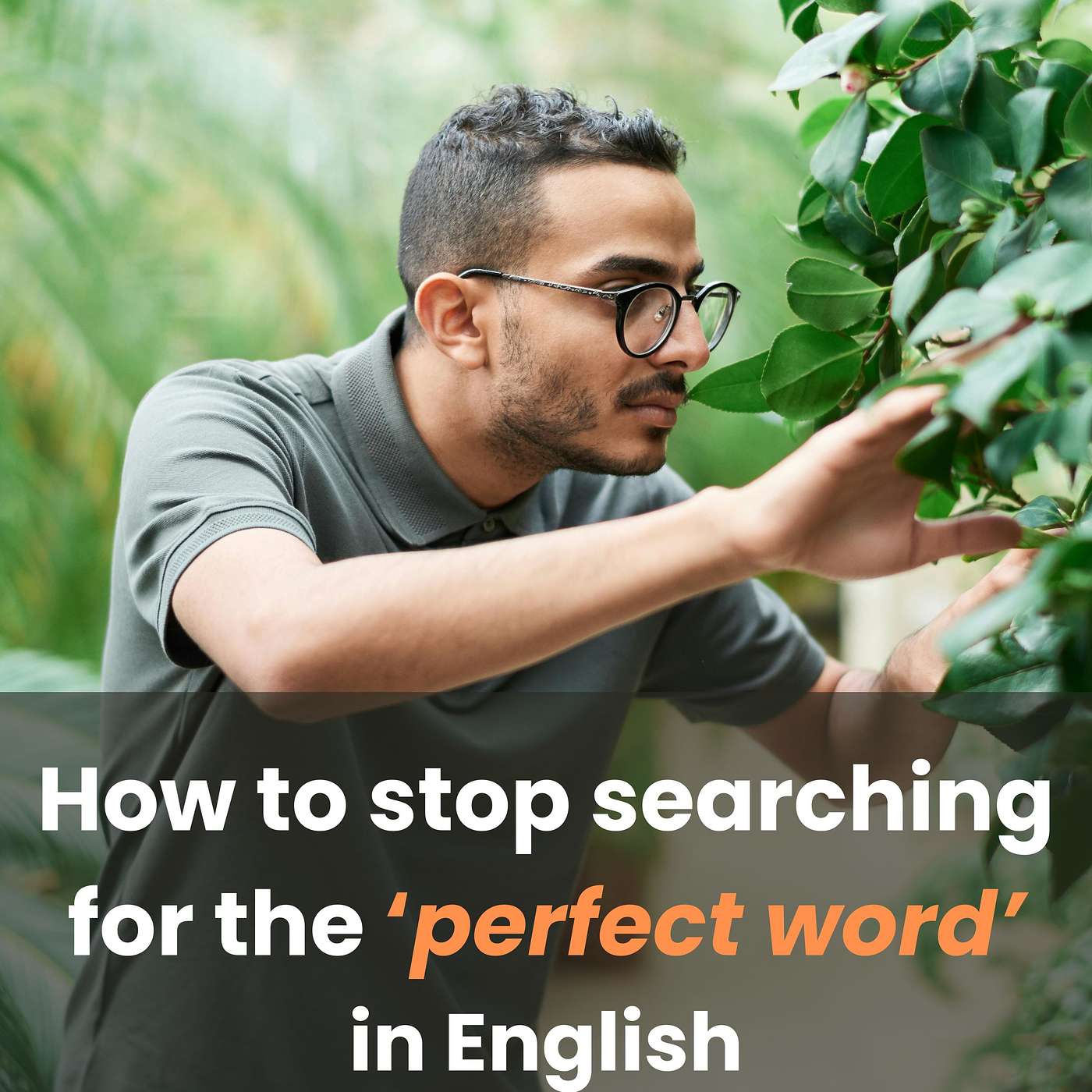 How To Stop Searching For The 'Perfect Word' In English