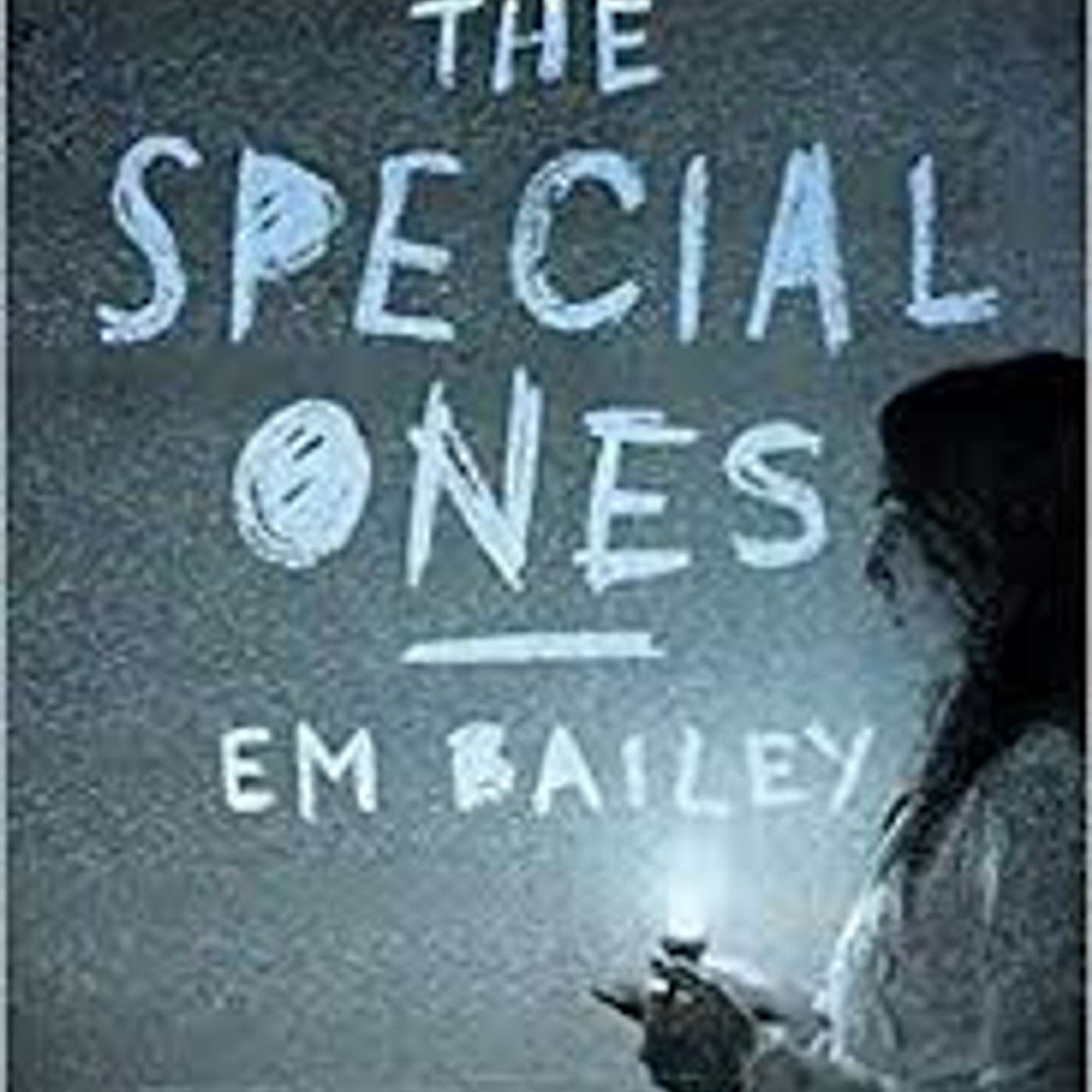 The Special Ones by Em Bailey (Contemporary Fiction)