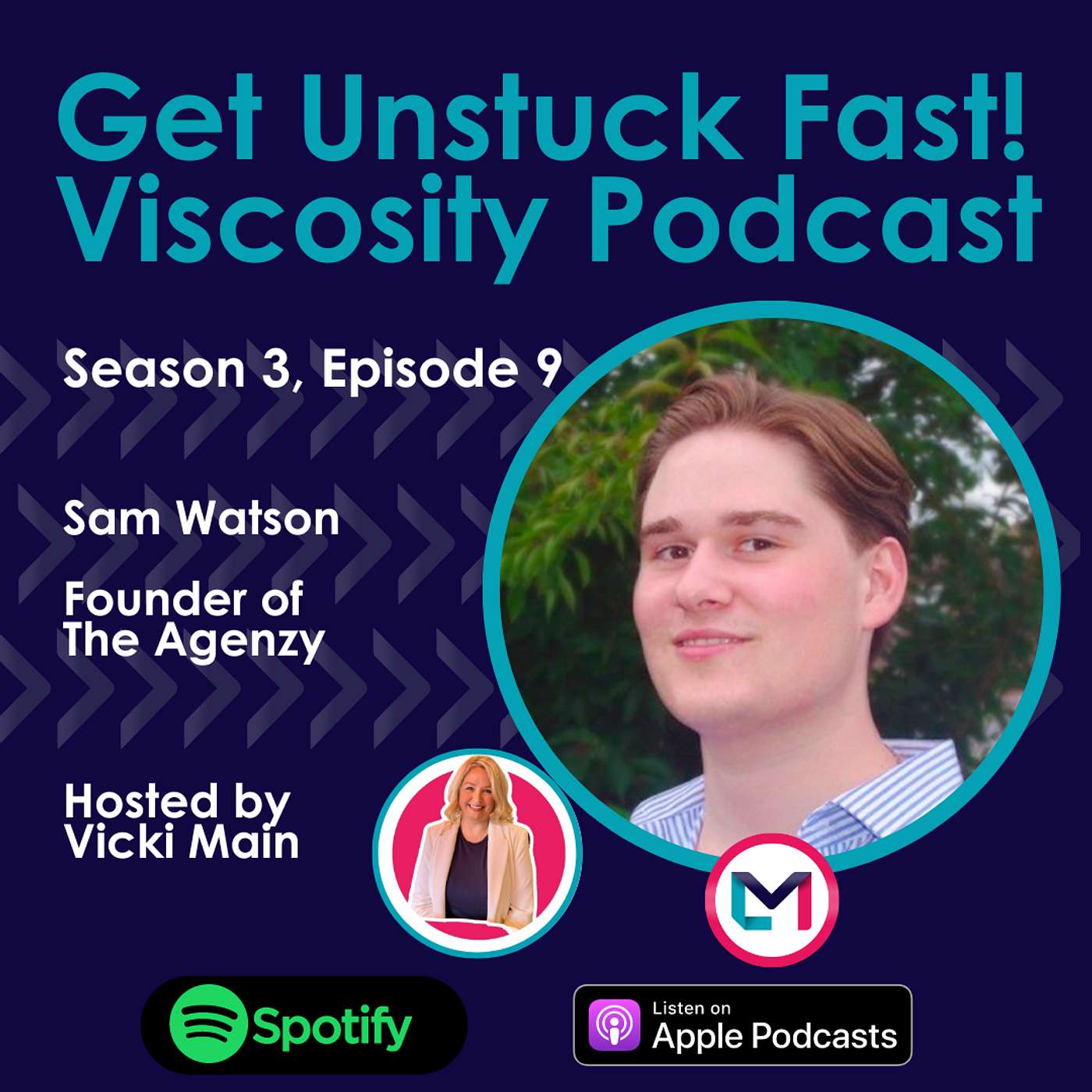 Get Unstuck Fast! Viscosity Podcast Hosted by Vicki Main