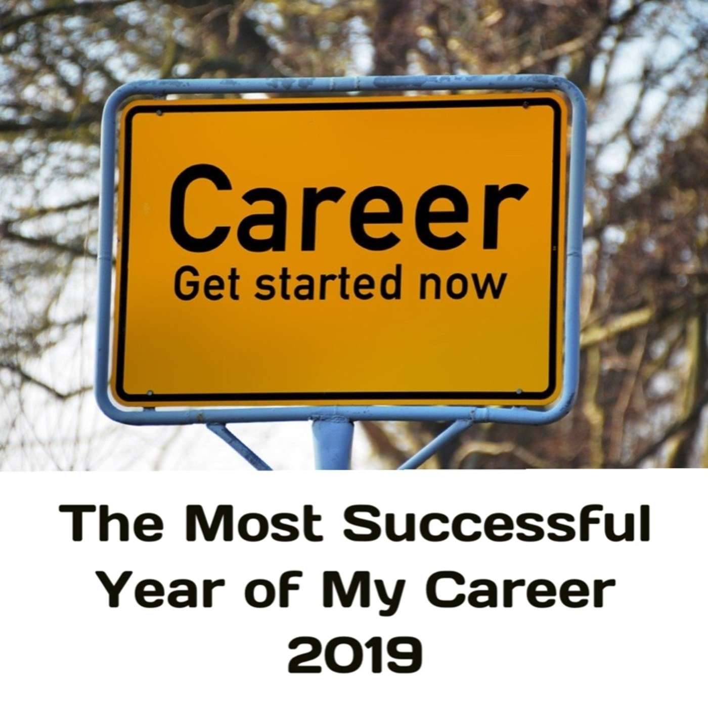 Wheel of Life 2019 - Career