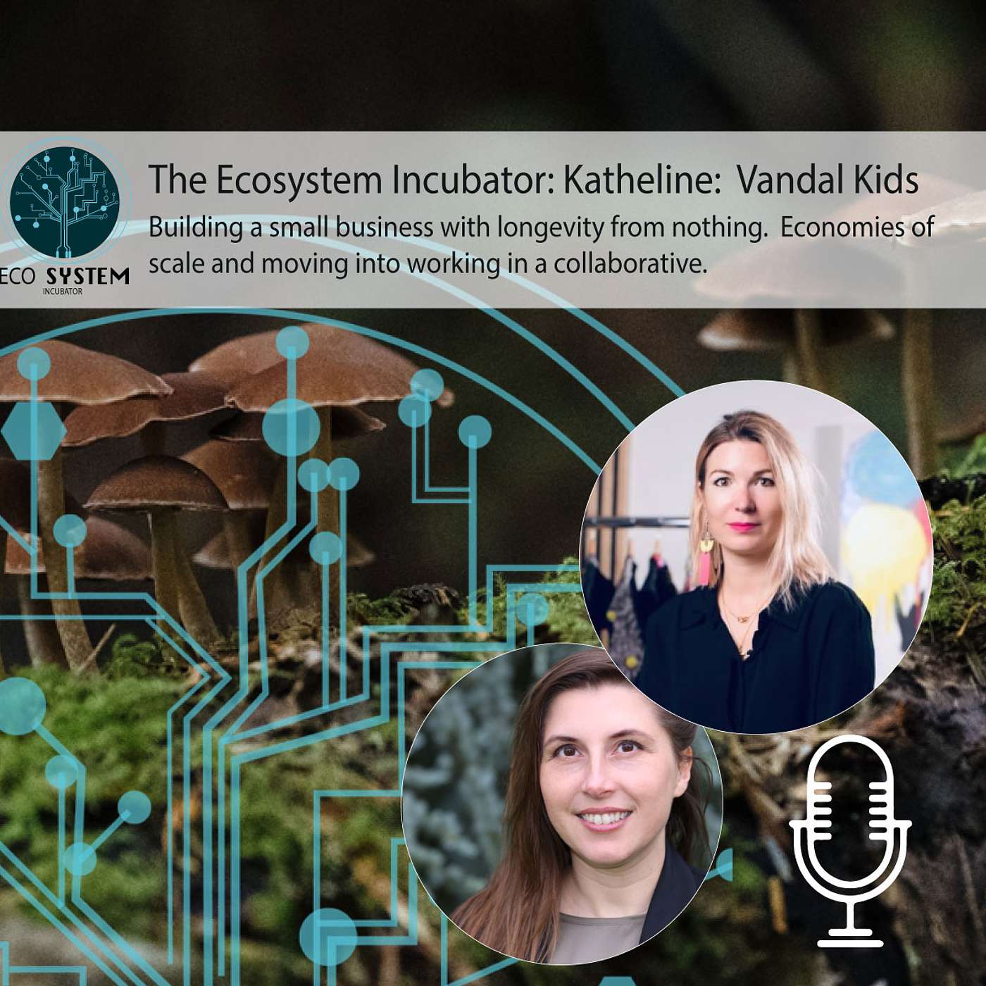 The Ecosystem Incubator - Being agile in creating your start up - Katheline Vandal, Vandal Kids