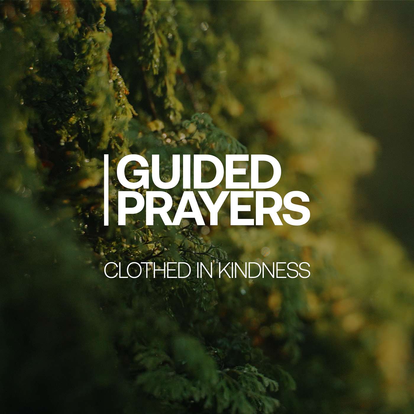 Do You Choose To Act With Kindness? | Guided Prayers episode artwork
