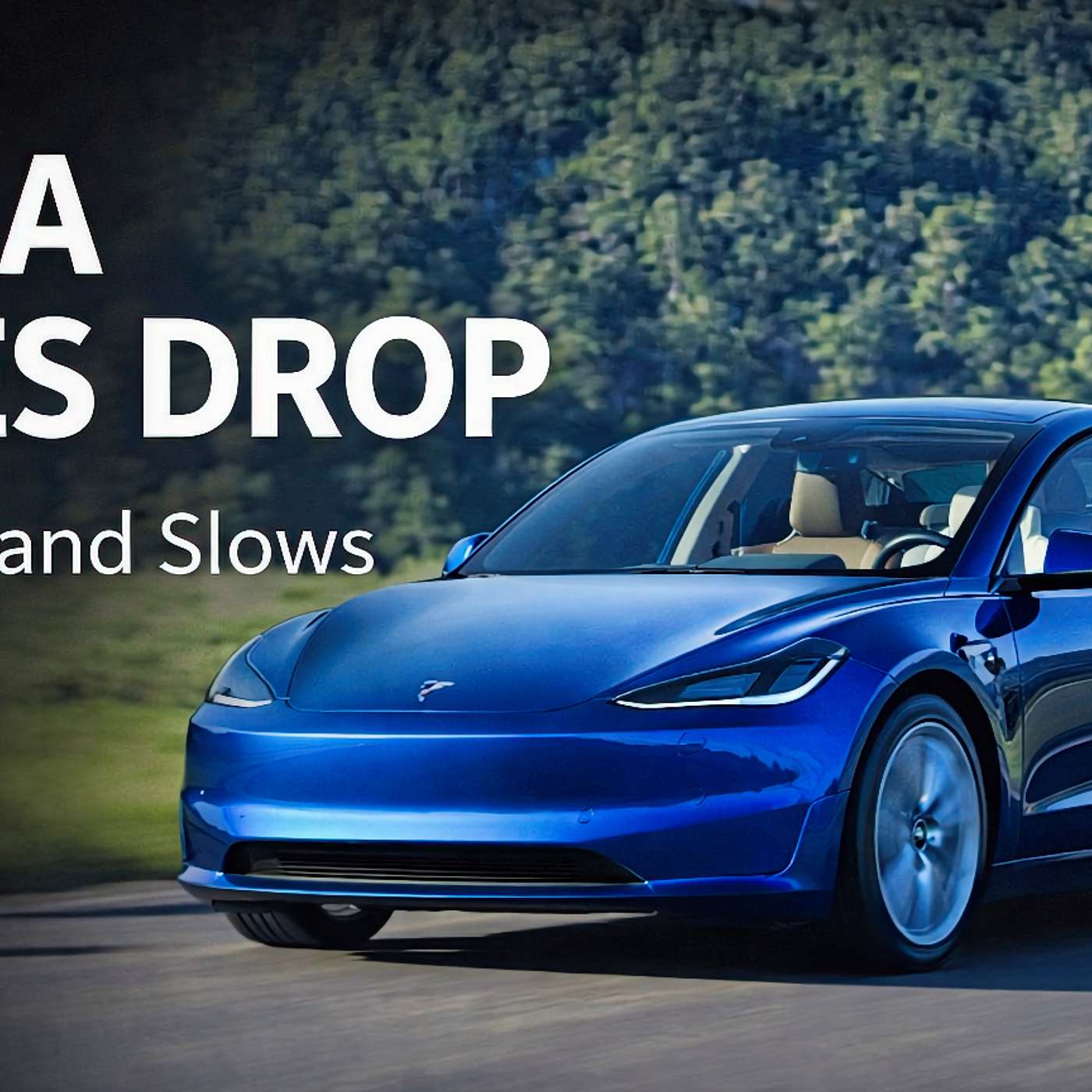 Tesla U.S. Sales Drop to Nearly 4-Year Low!