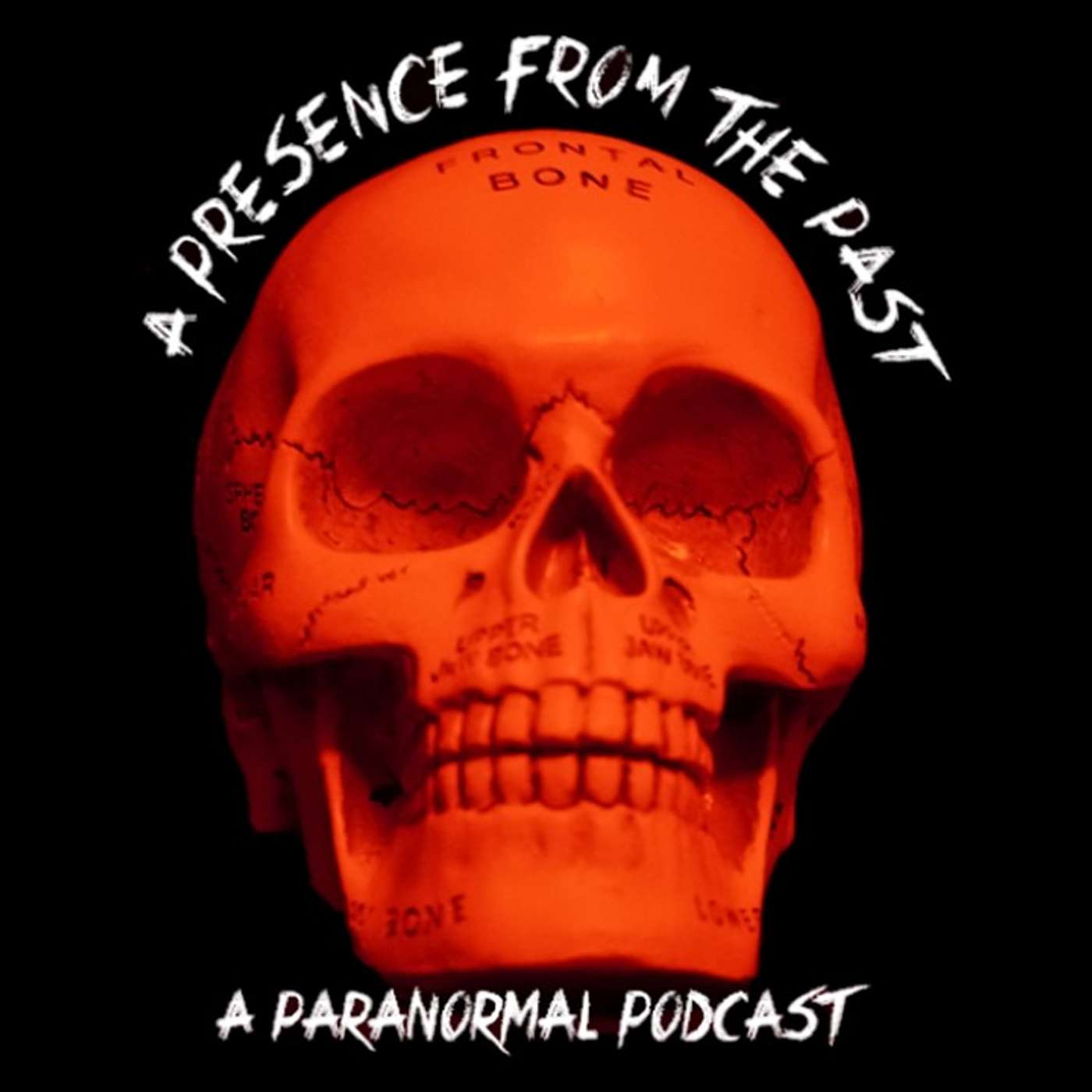 A Presence from the Past