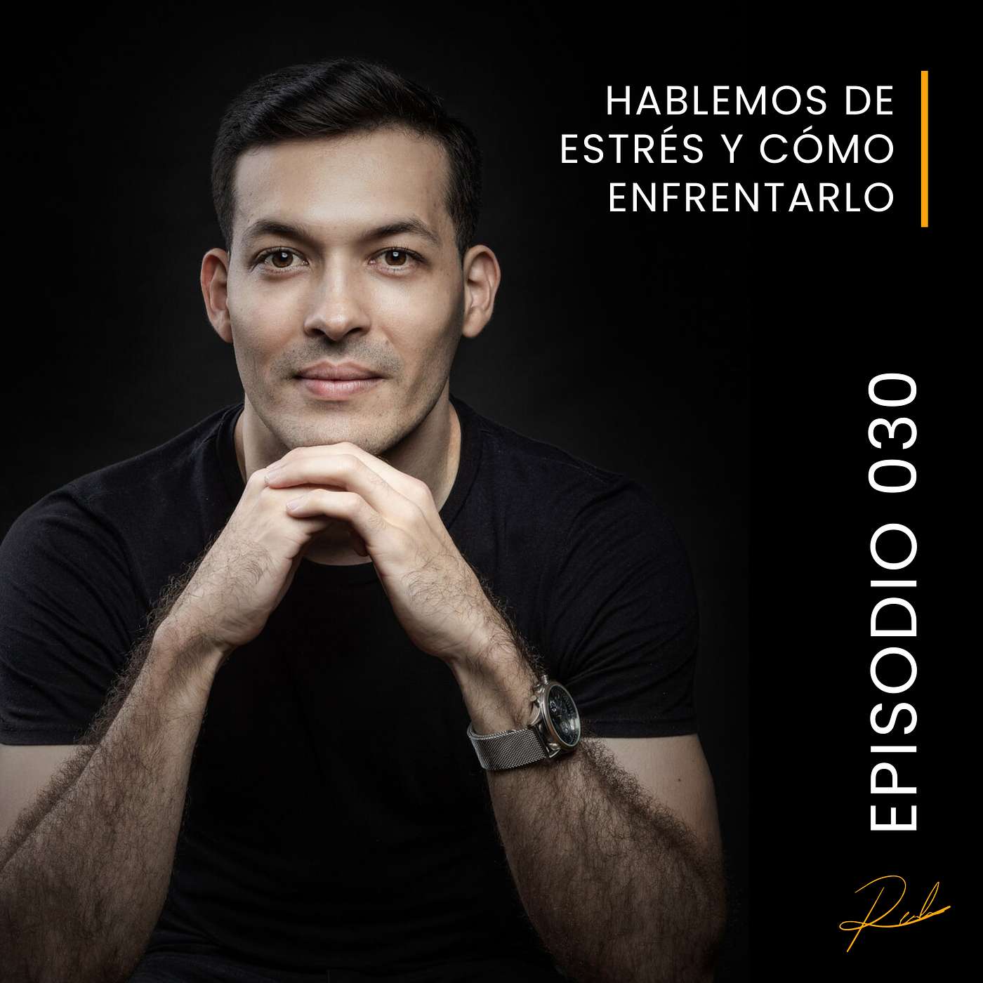 Ricardo Elizondo - Minimalismo Empresarial