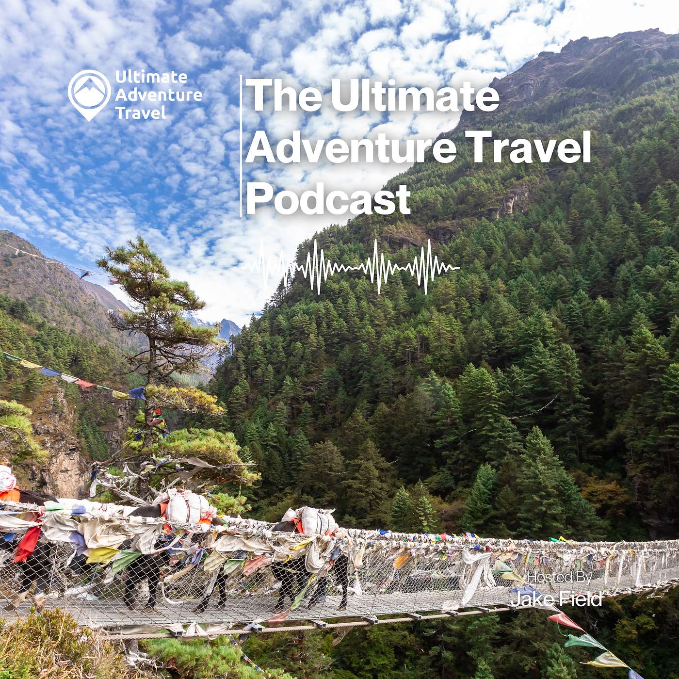 Visas, Vaccines & Travel Docs: What You Really Need Before Your Next Adventure