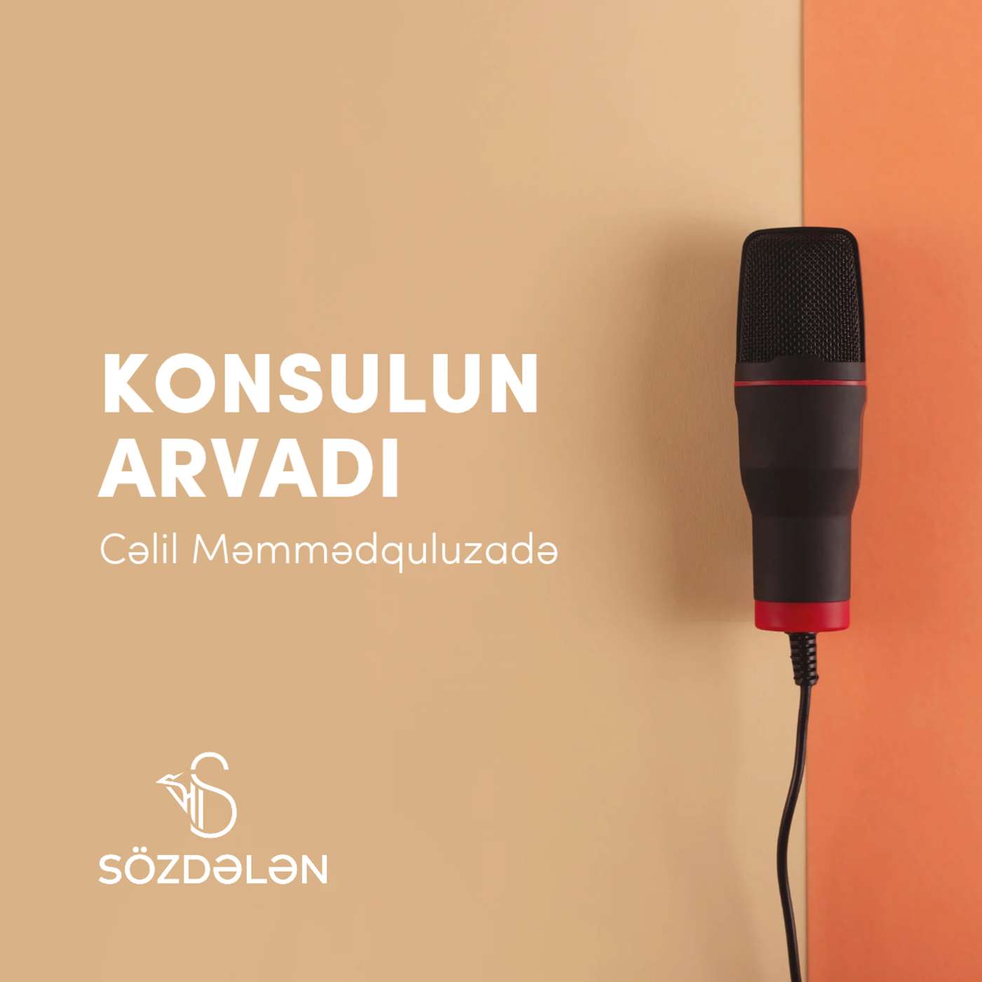 Konsulun arvadı | Cəlil Məmmədquluzadə