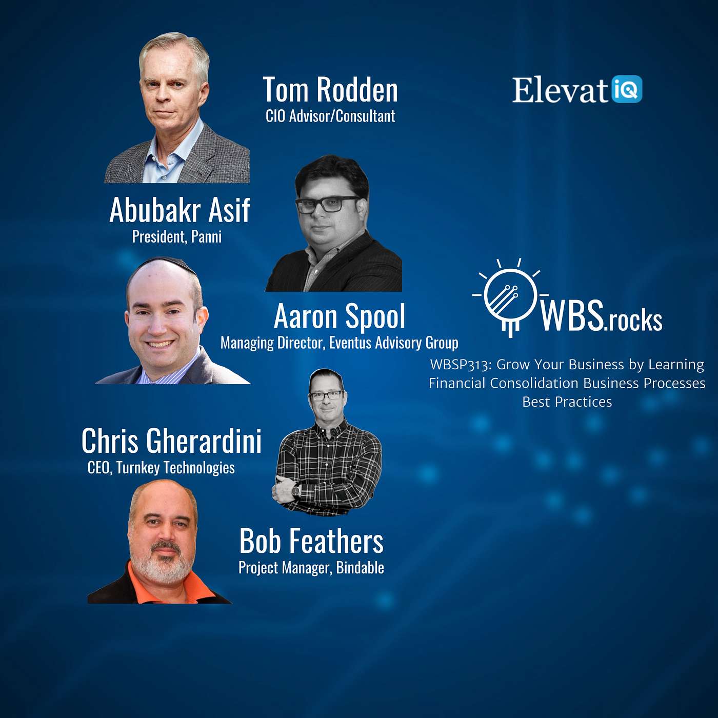WBSP313: Grow Your Business by Learning Financial Consolidation Business Processes Best Practices, a Live Interview w/ a Panel of Experts
