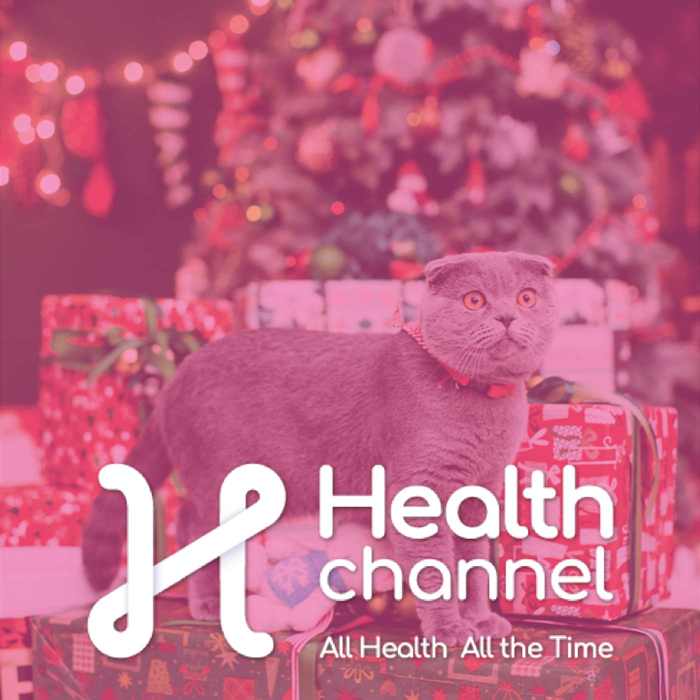 Festive but Safe: Holiday Tips for Pet Owners | Ask The Doc episode artwork