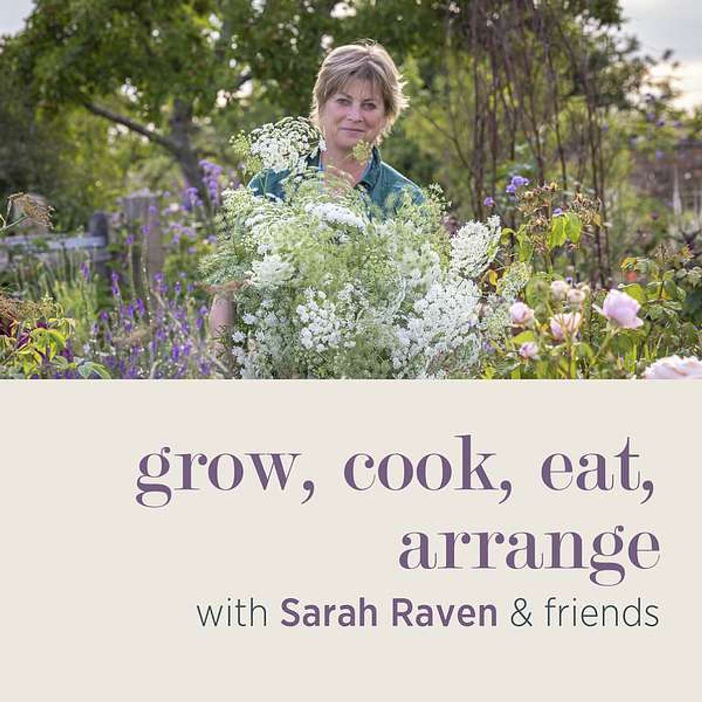 Q&A: How do I make my mark on a new garden? What can I forage for wreath decorations? What’s the difference between part-shade and full sun? How can I start coppicing?