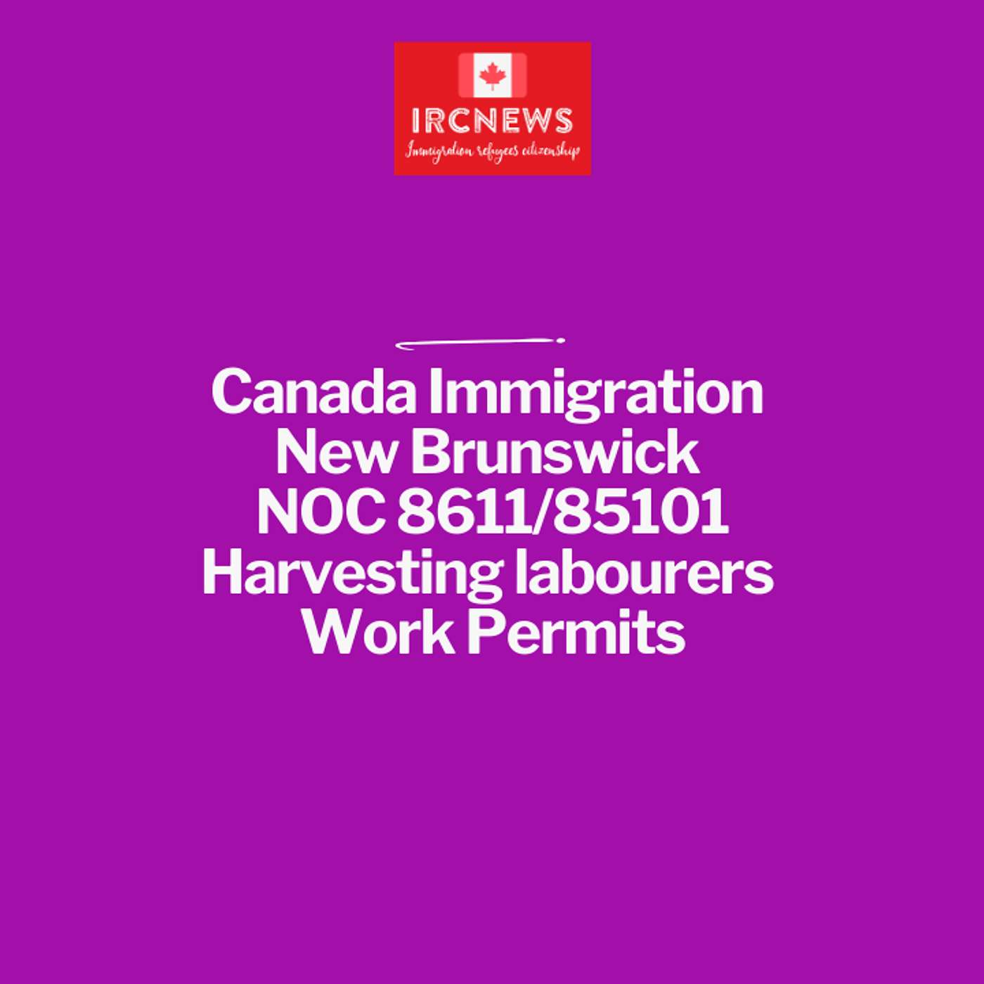 Canada Immigration New Brunswick NOC 8611/85101 Harvesting labourers Work Permits episode artwork
