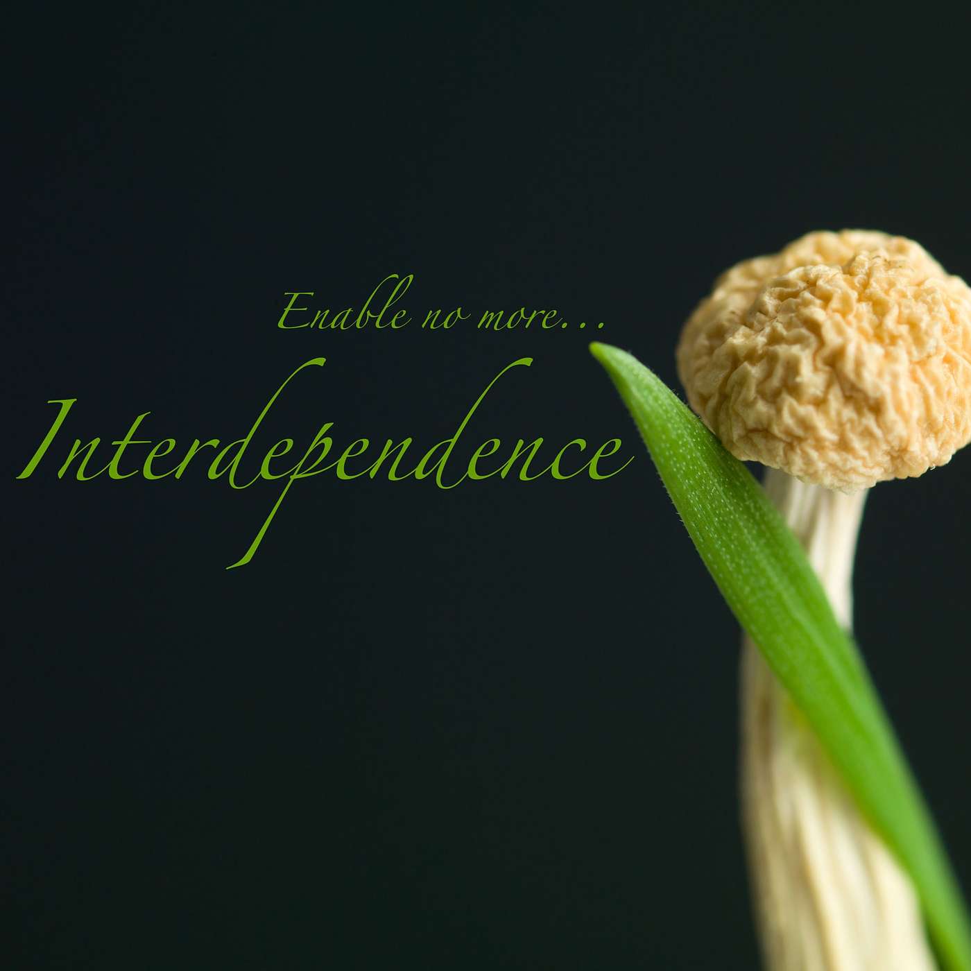 BeSimply...CO-dependency {LoveSelf}