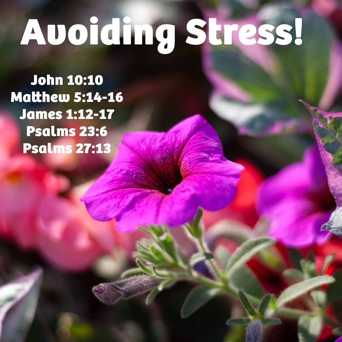 Avoiding Stress, Embracing Jesus