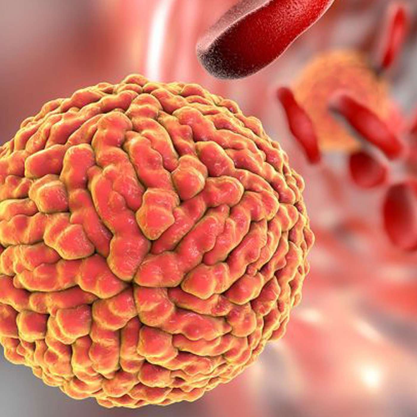 The Changing Impact of Infections as We Go Through Life and Age episode artwork