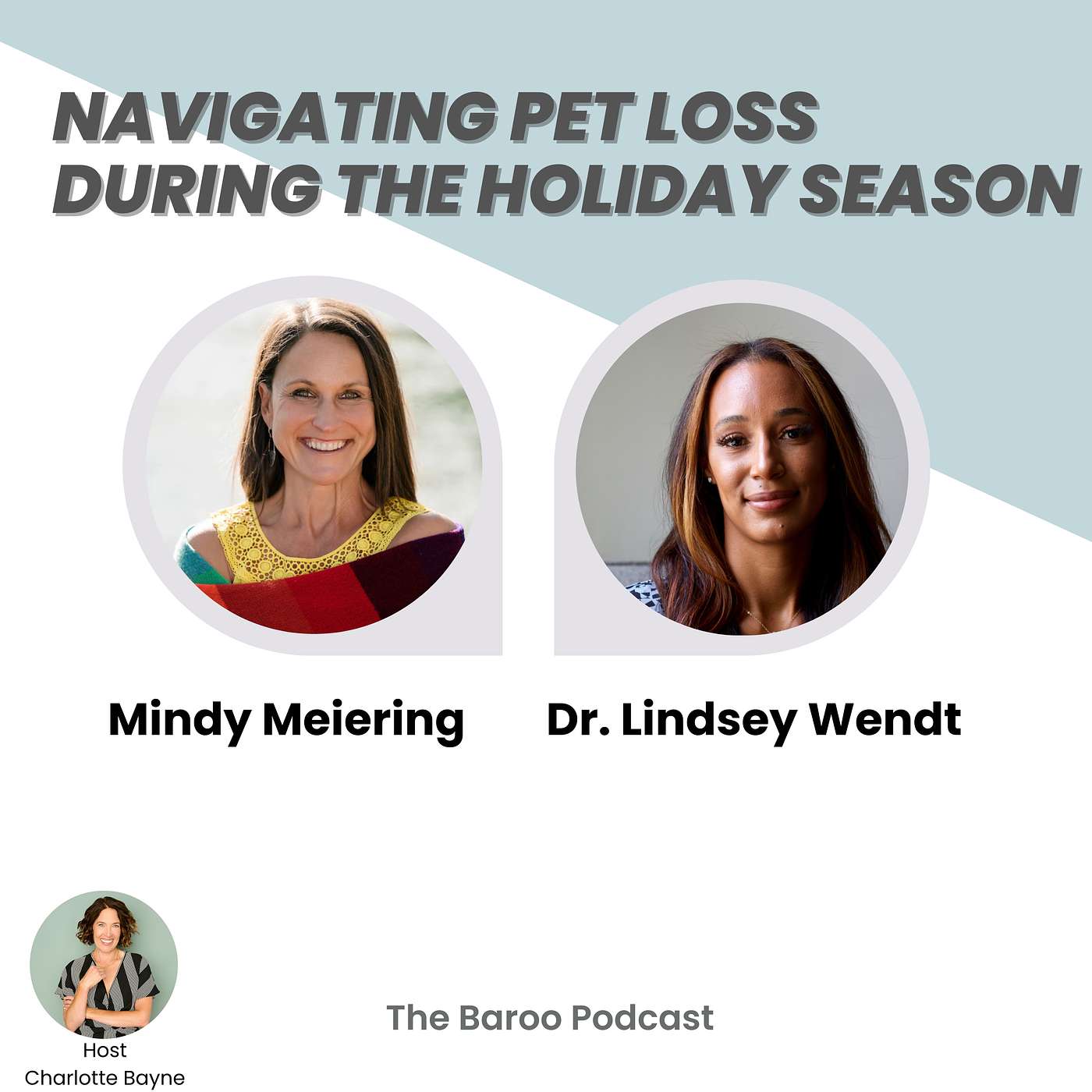 The Baroo: A Podcast for Dogs and Their People