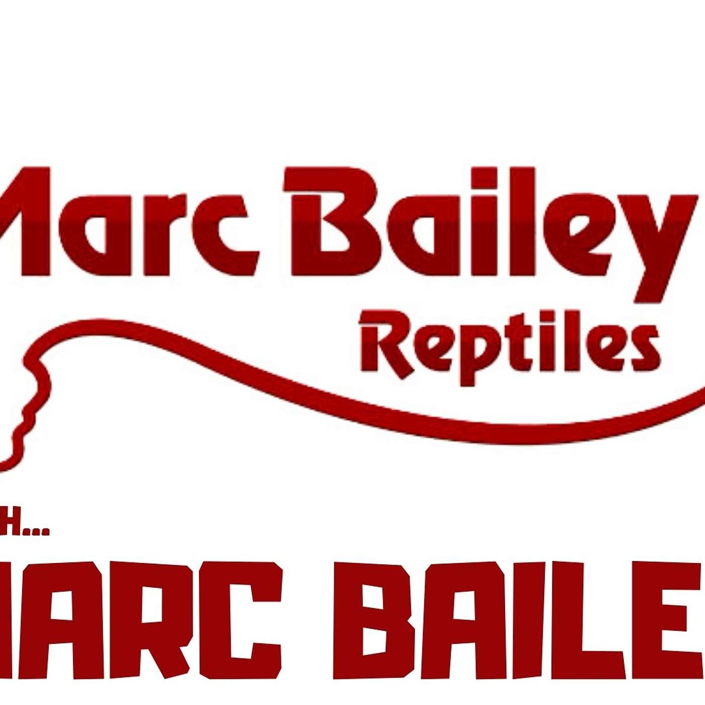 #65 MARC BAILEY REPTILES | BALL PYTHONS | BALL PYTHON BREEDER | TRAP TALK WITH MJ PODCAST