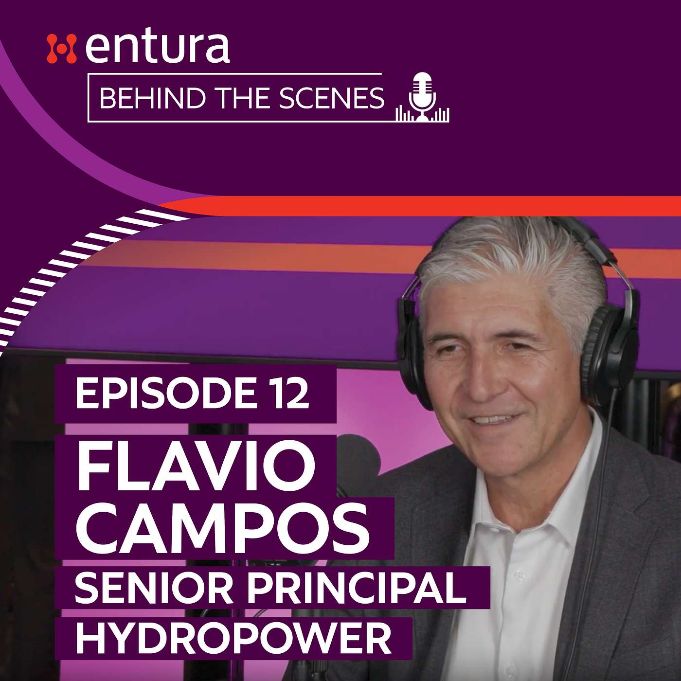 Flavio Campos, Senior Principal Hydropower episode artwork