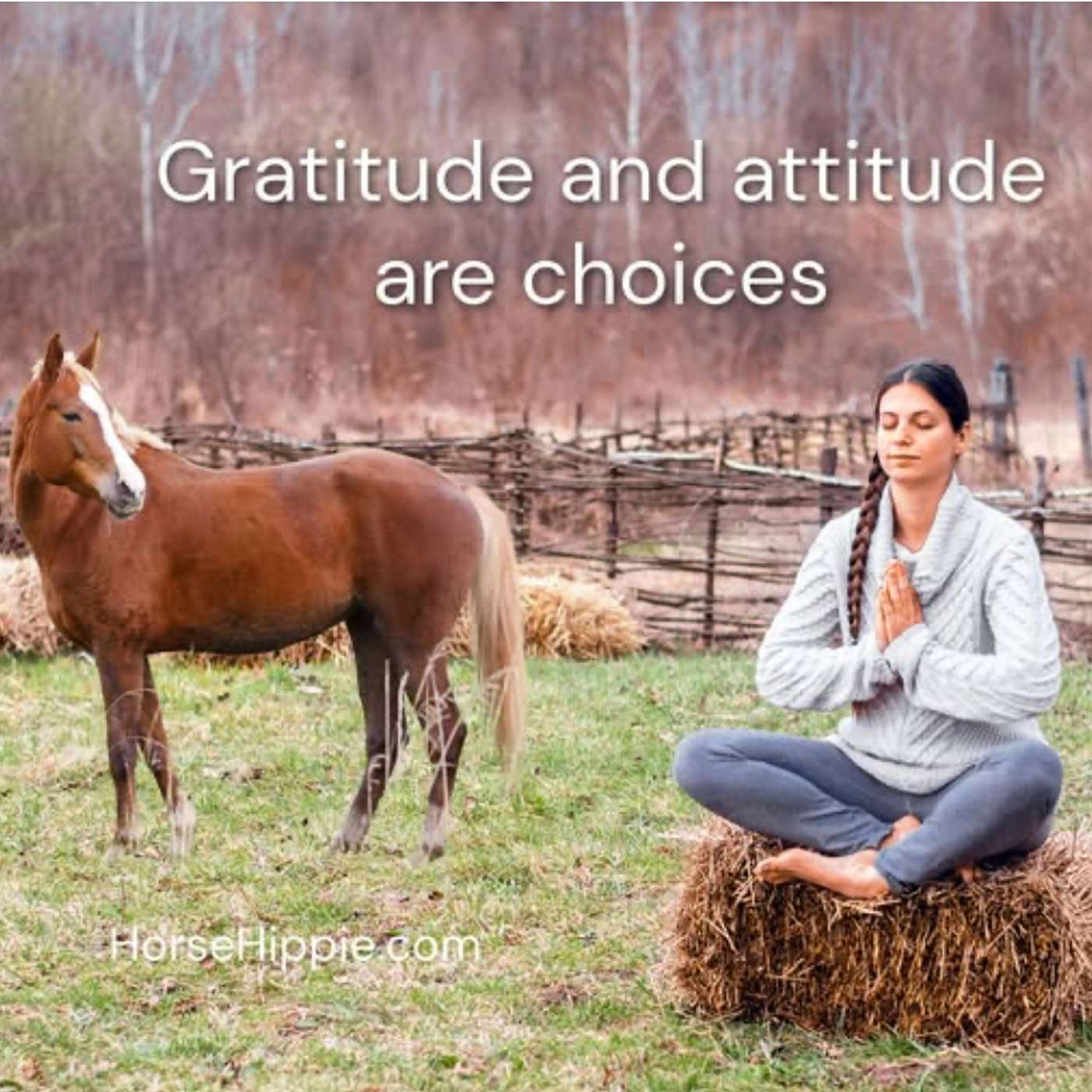 Thanksgiving Attitude