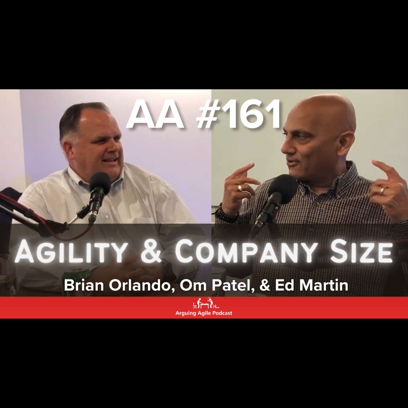 Arguing Agile