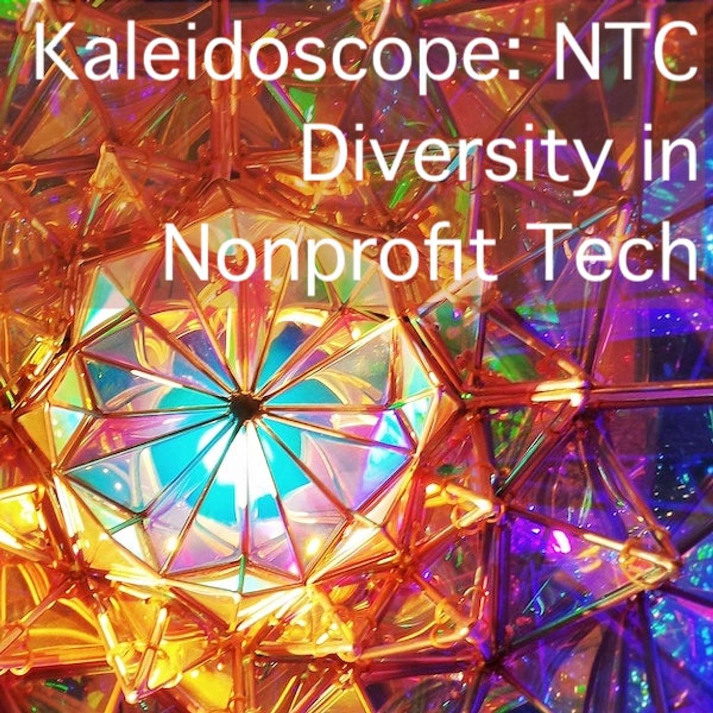 Pt 2 Kaleidoscope NTC Panel Discussion on Supporting Diversity in Nonprofit Tech