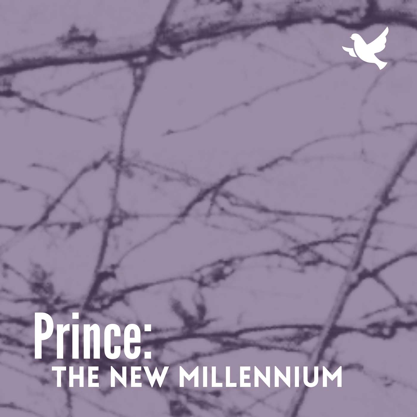 Prince: The New Millennium