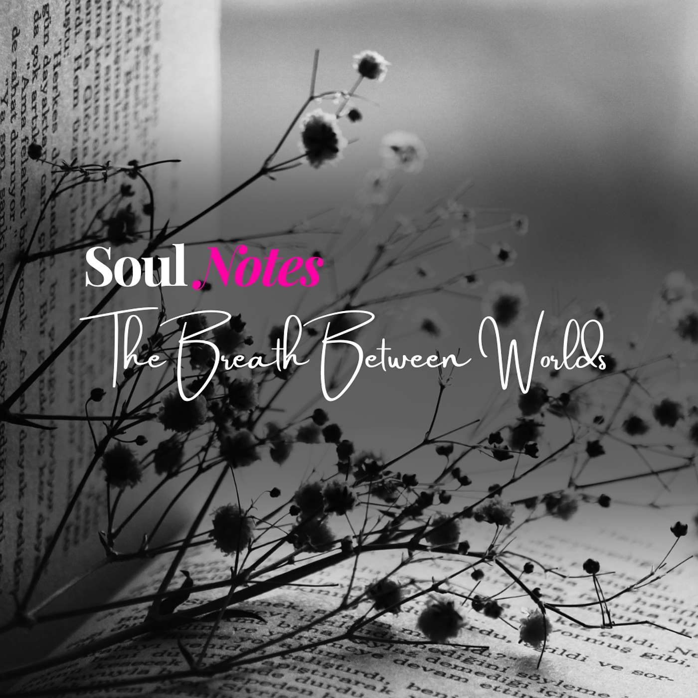 The Breath Between Worlds