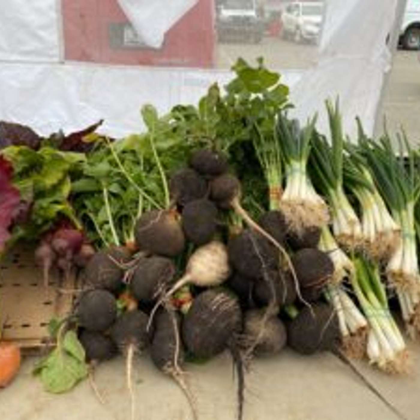 New Rules for Farmers Market Food Program in 2026