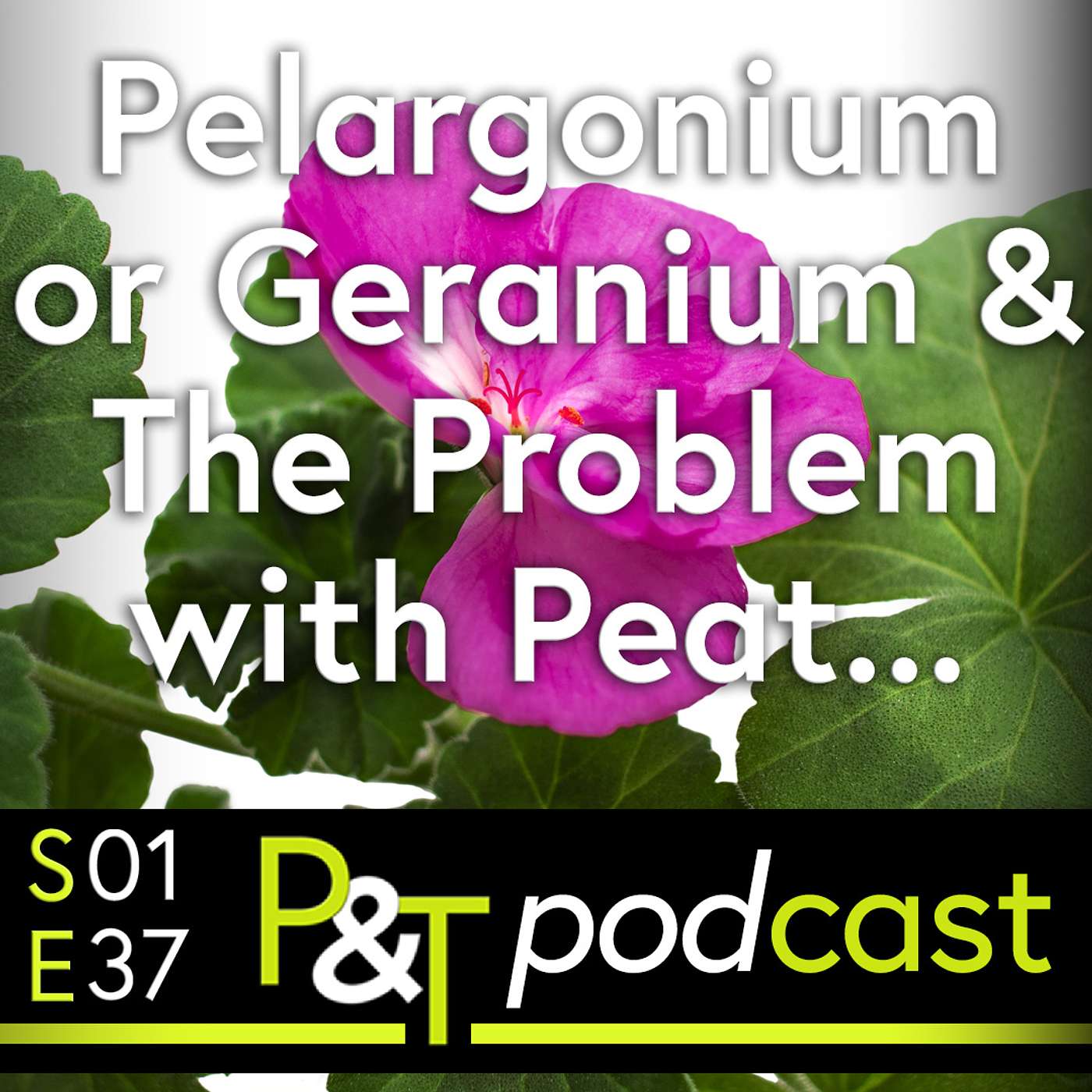 Pots & Trowels The Gardening Podcast