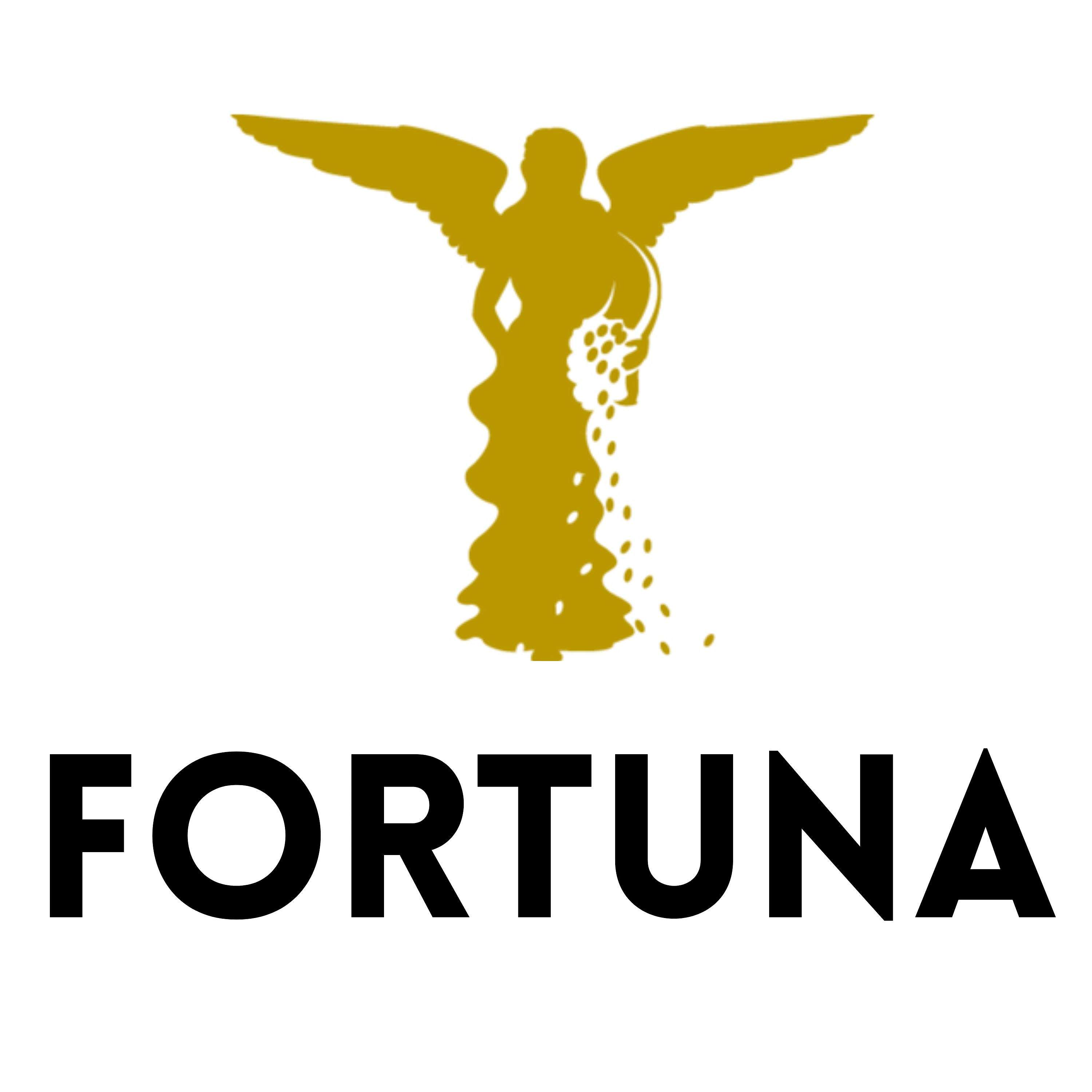 Fortuna Podcast podcast artwork