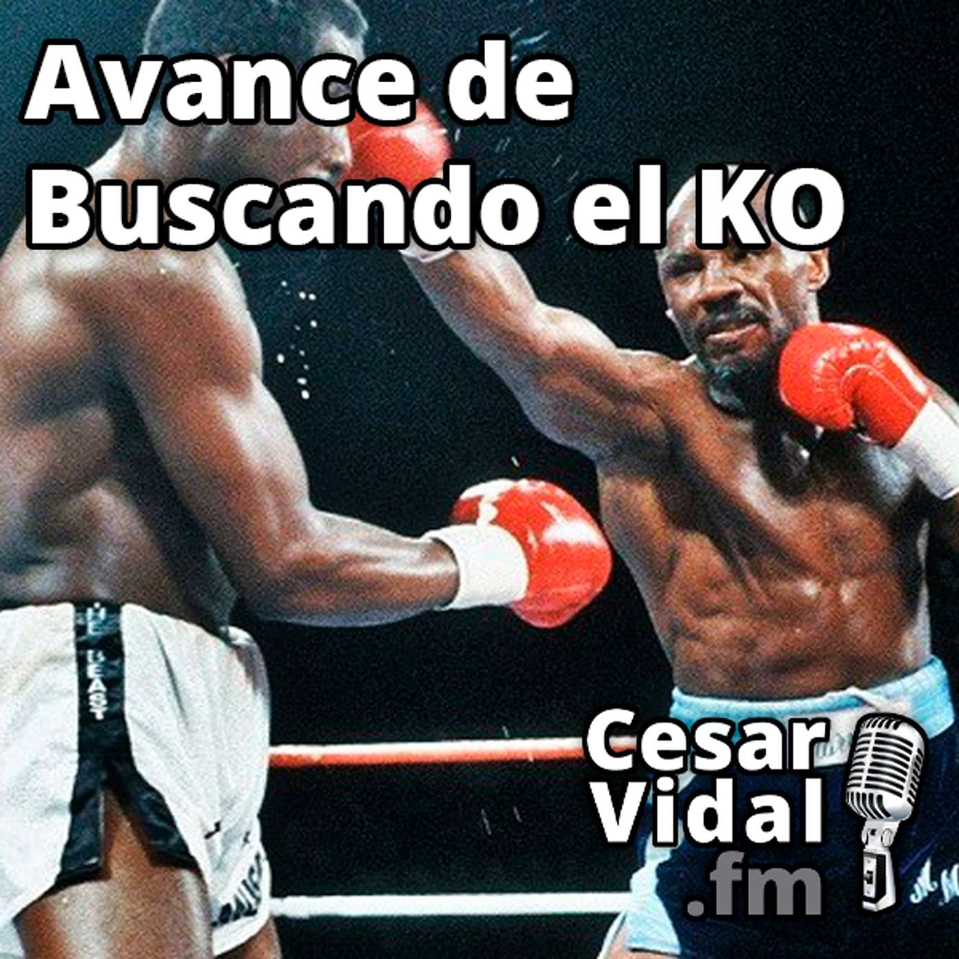 Avance de Buscando el KO - 21/06/24