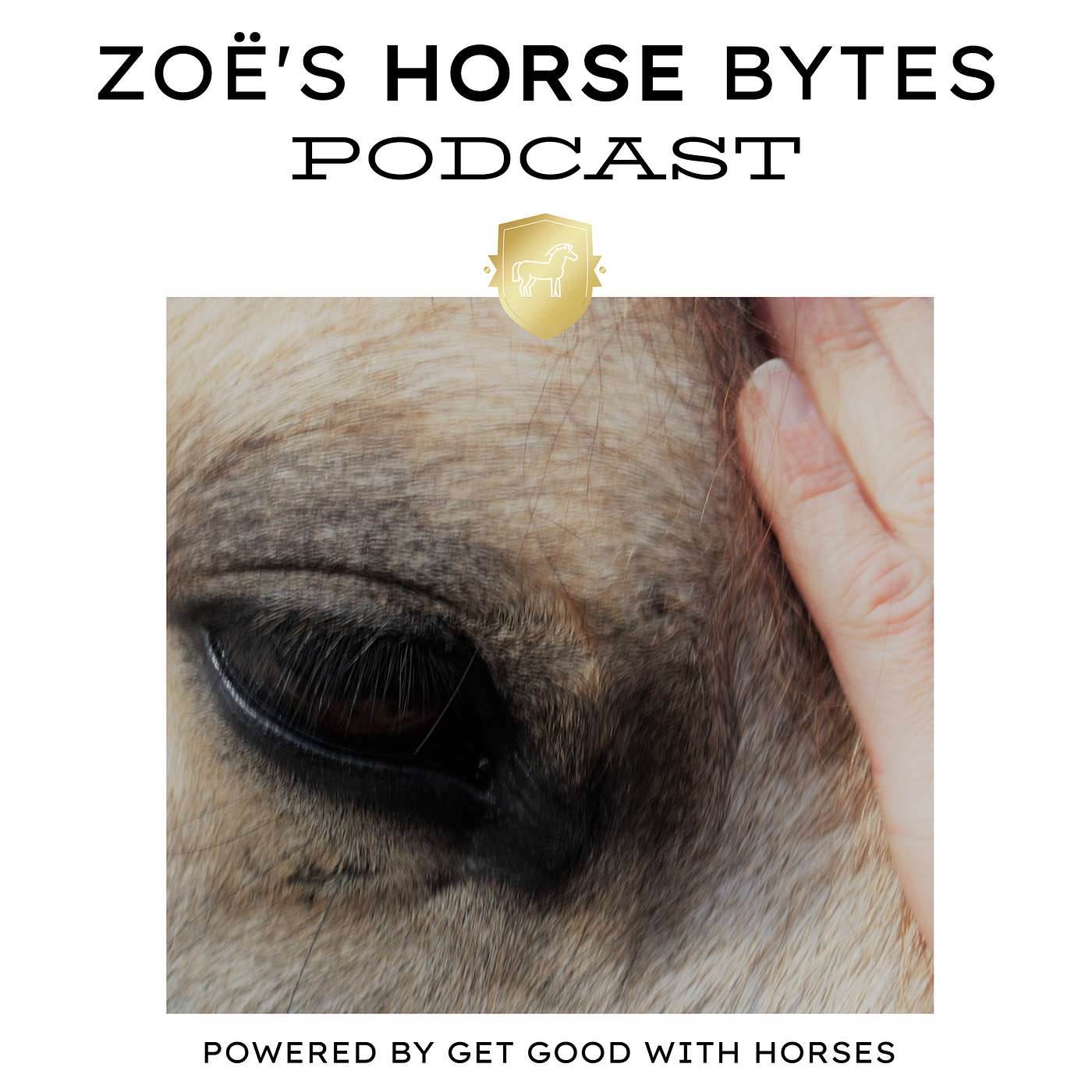 21. A song for Horse Lovers - A voice for them episode artwork
