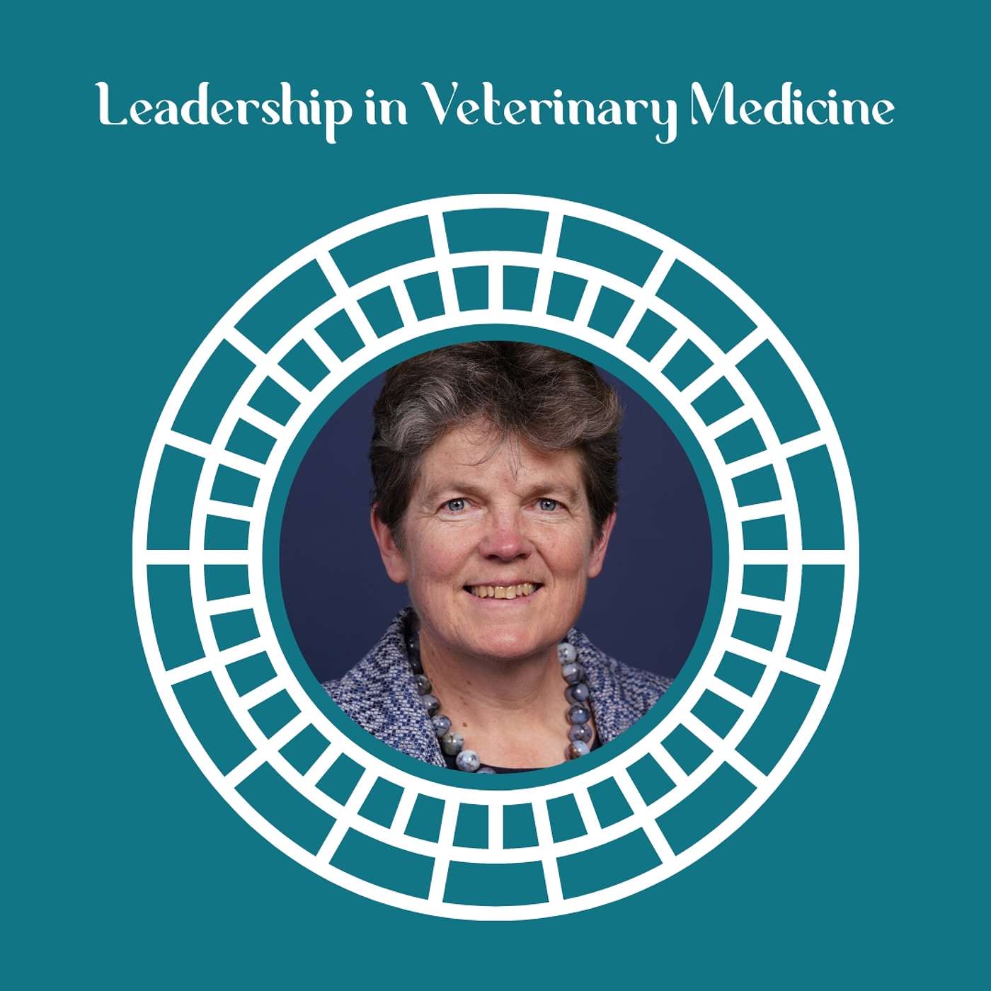 Leadership in Veterinary Medicine with Dr. Amy Grice