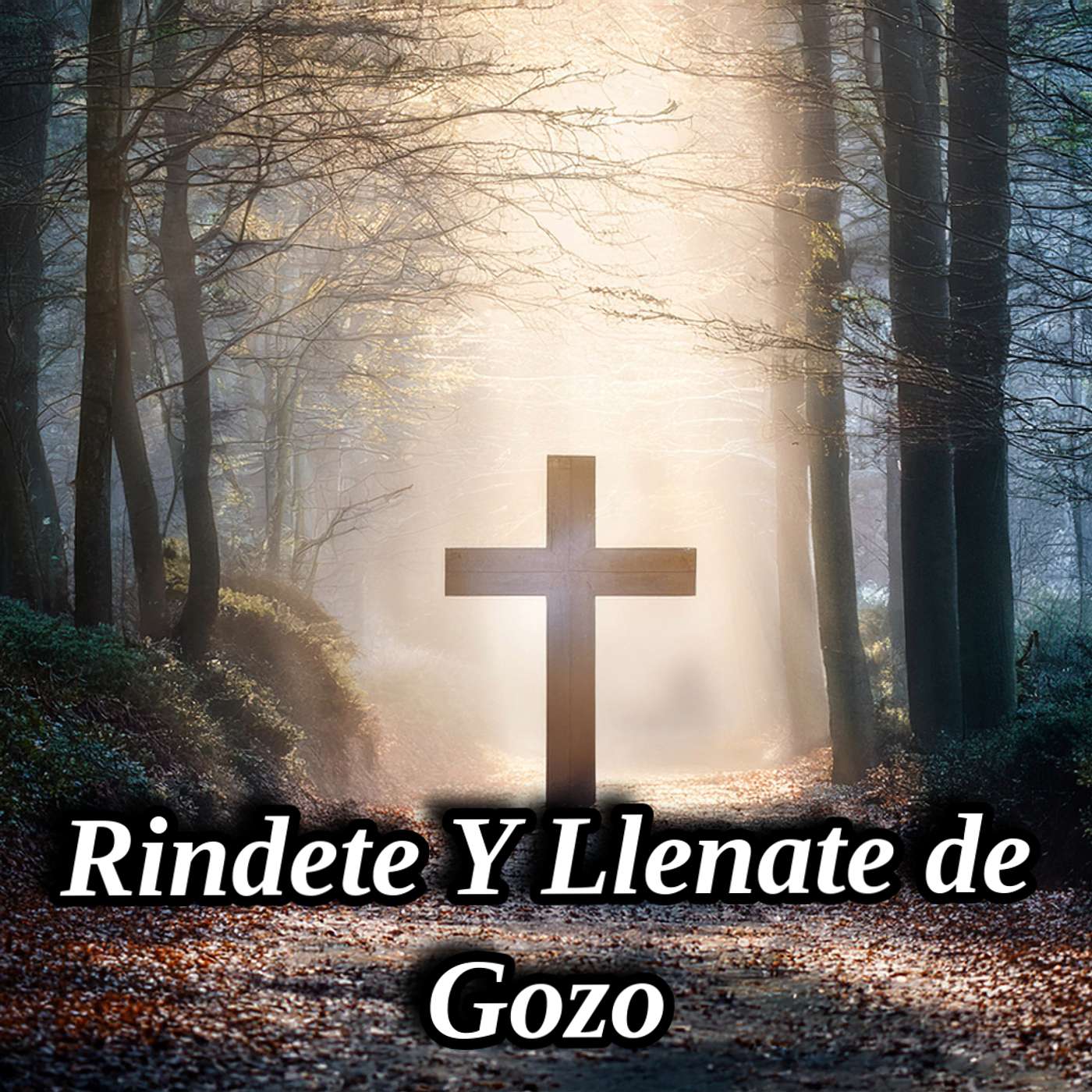 Ríndete Y Llénate De Gozo