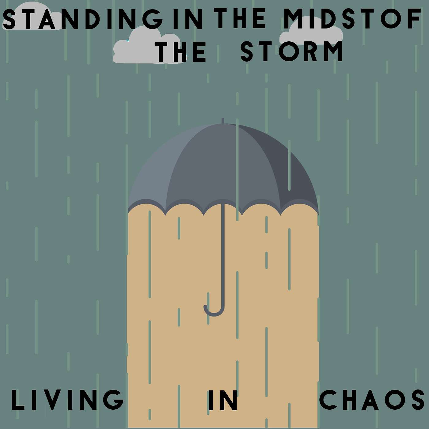 Standing In The Storm - Neil Ellison