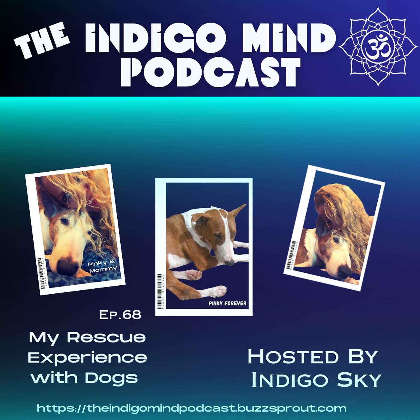 My Rescue Experience With Dogs