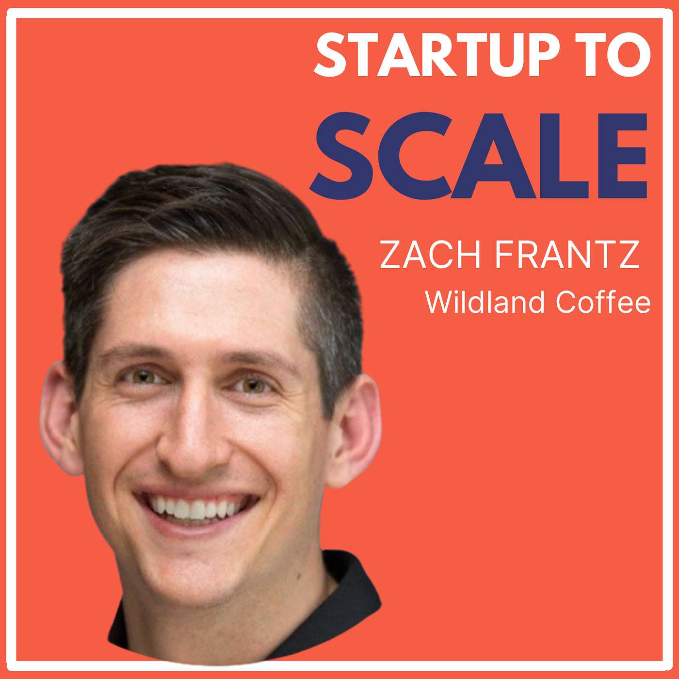 Startup To Scale