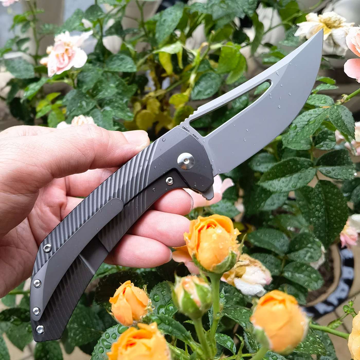 FOLDING KNIFE LOCK MECHANISMS: WHAT HIKERS SHOULD KNOW