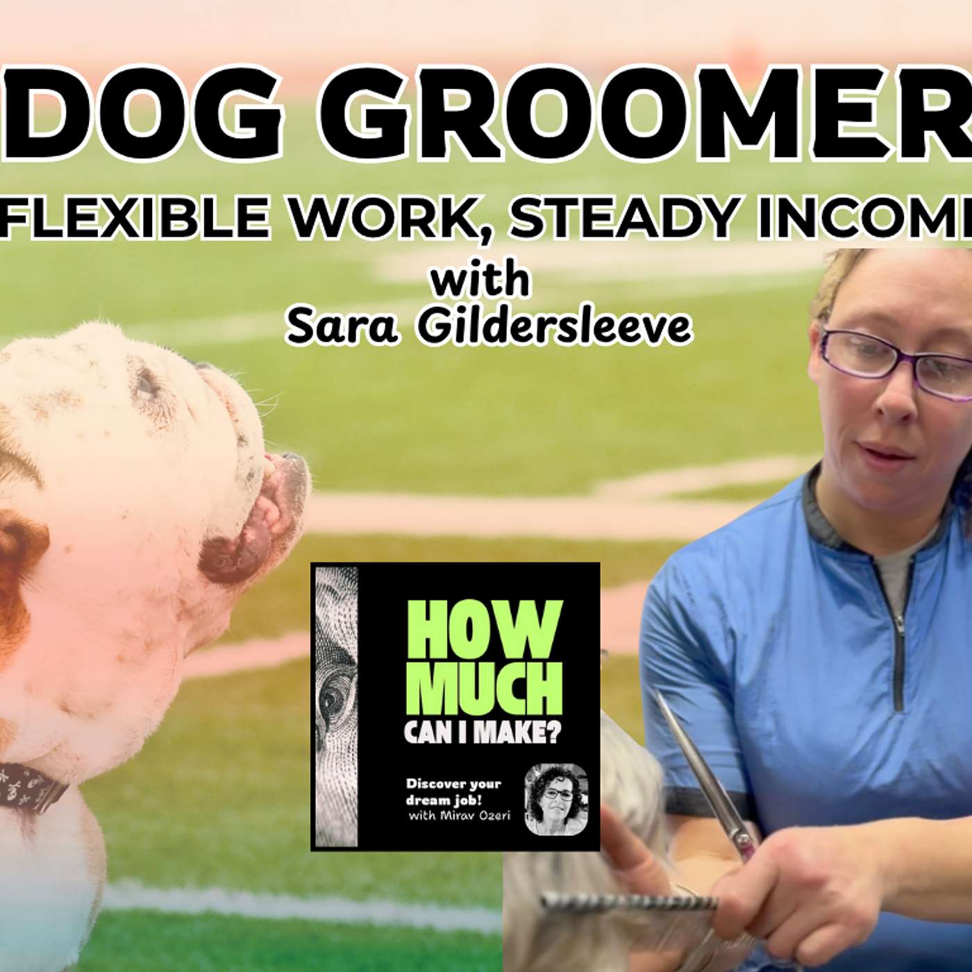 How Much Does a Dog Groomer Make? Real Income & Career Path