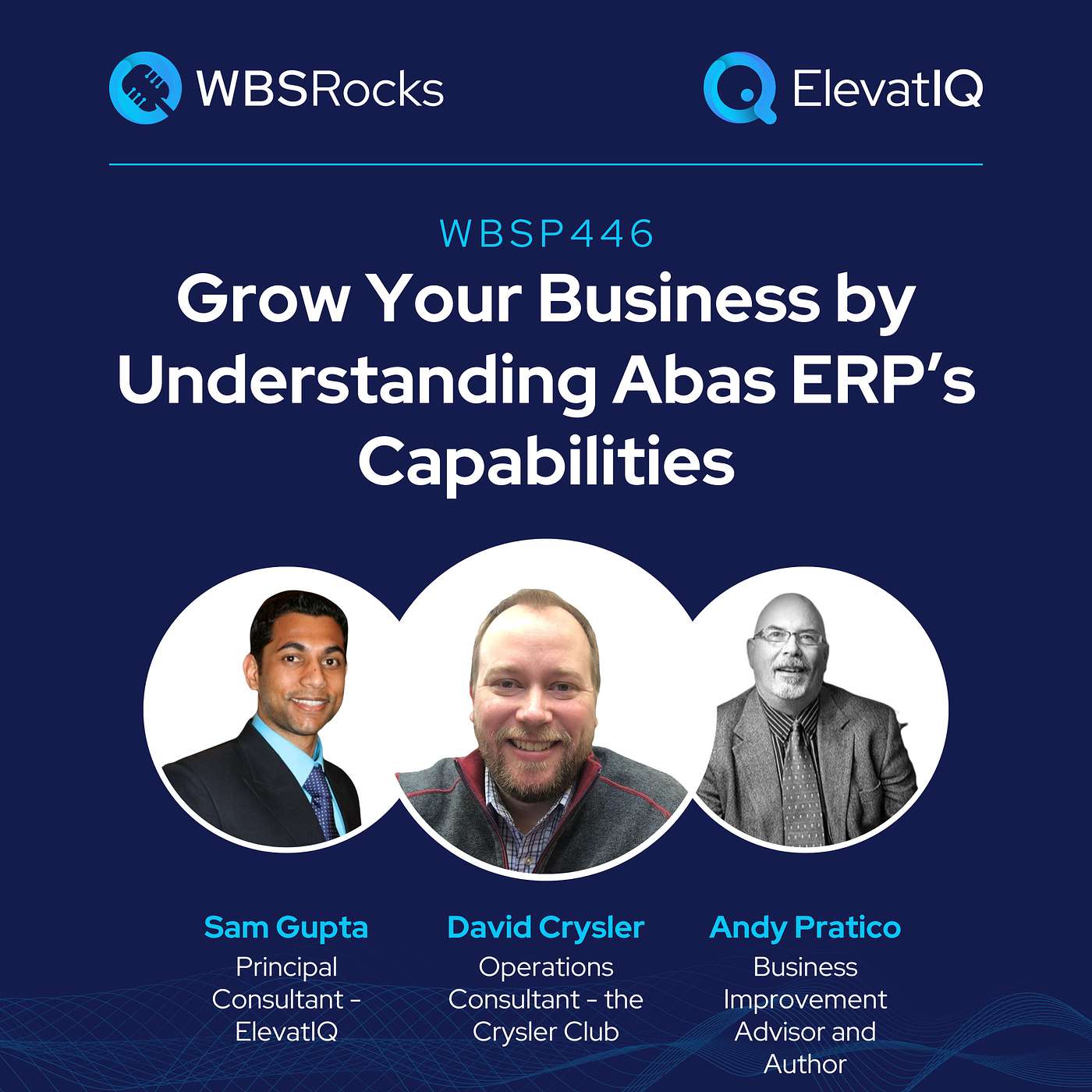 WBSP446: Grow Your Business by Understanding Abas ERP’s Capabilities, an Objective Panel Discussion