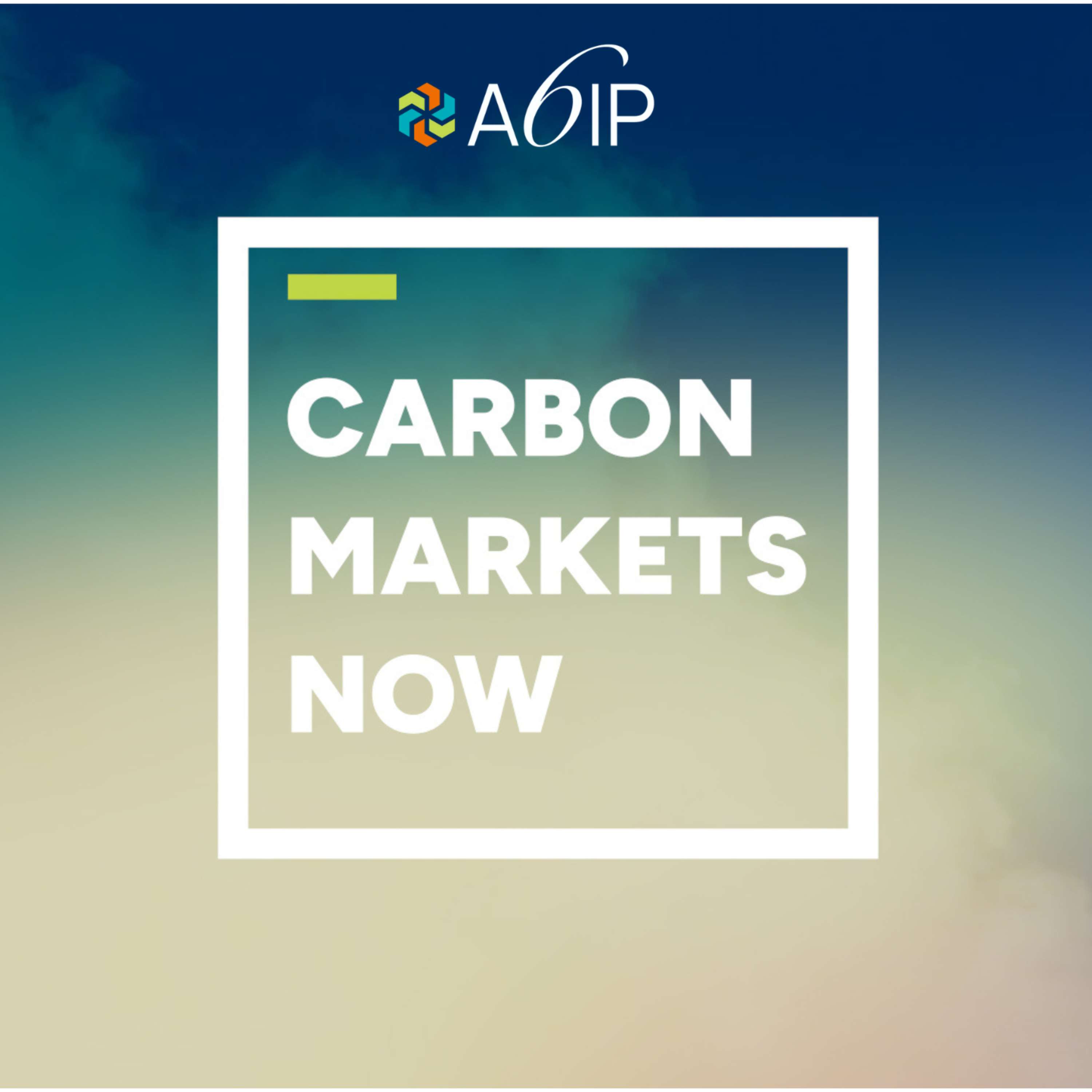 Carbon Markets Now