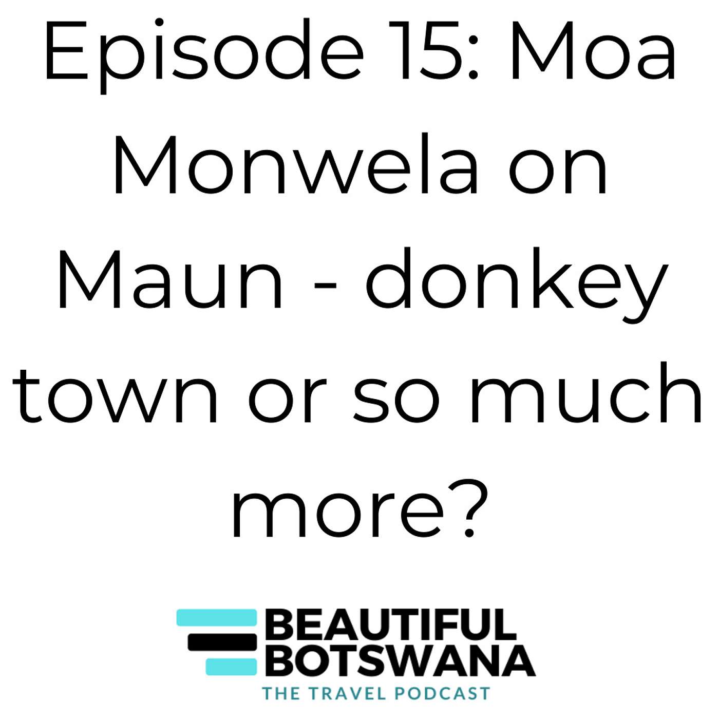15 - Moa Monwela - Maun: donkey town or so much more?